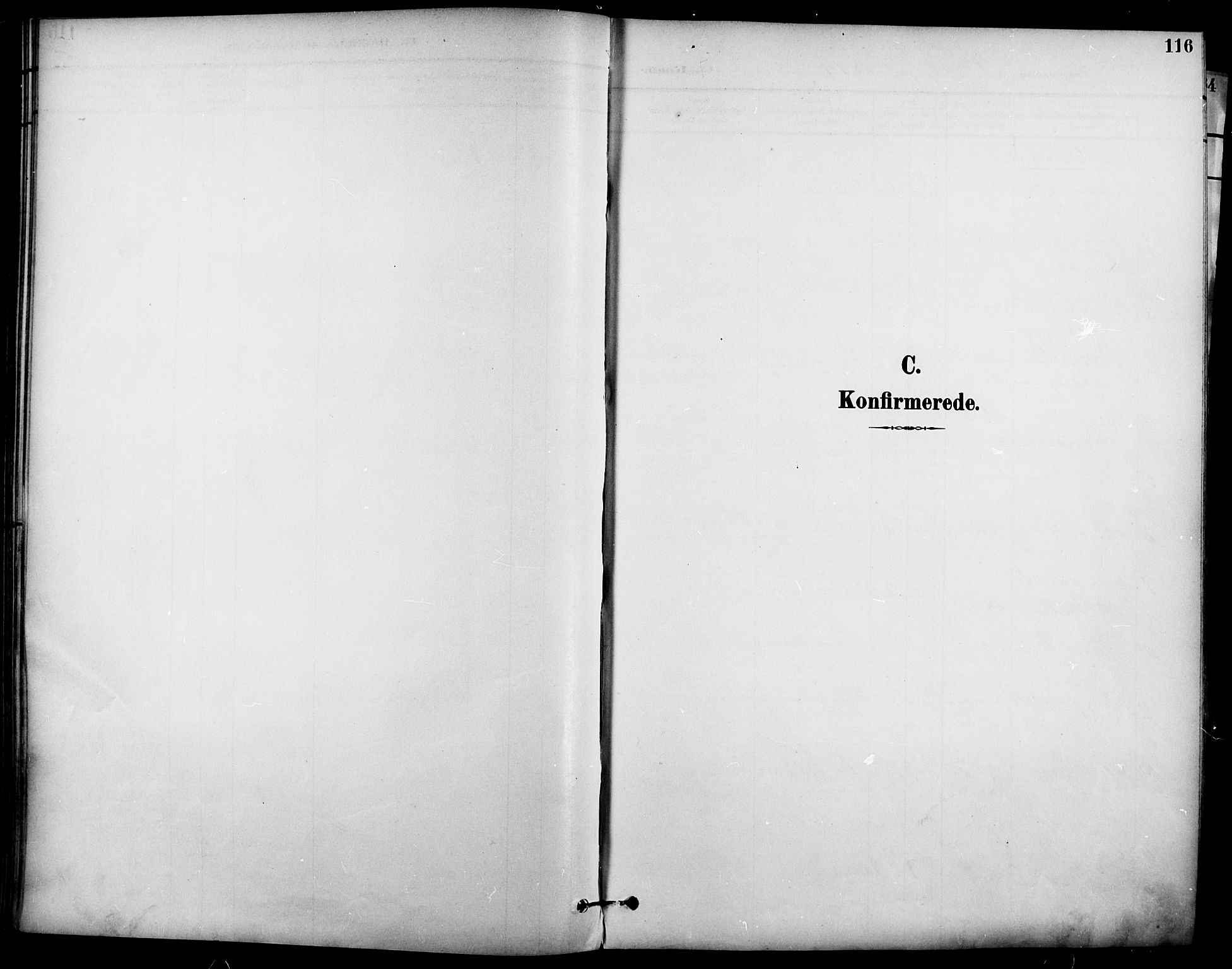 Garnisonsmenigheten Kirkebøker, AV/SAO-A-10846/F/Fa/L0013: Ministerialbok nr. 13, 1894-1904, s. 116