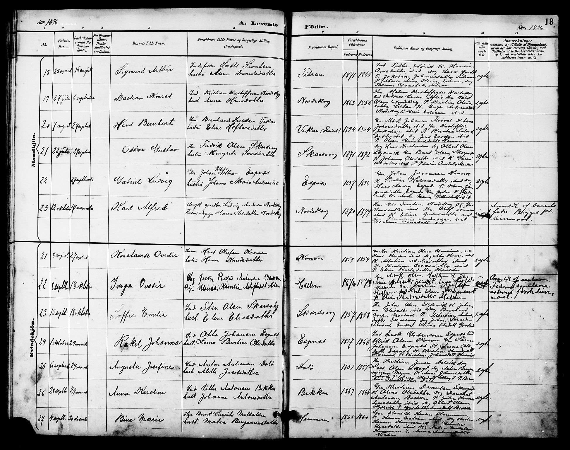 Ministerialprotokoller, klokkerbøker og fødselsregistre - Sør-Trøndelag, AV/SAT-A-1456/641/L0598: Klokkerbok nr. 641C02, 1893-1910, s. 13