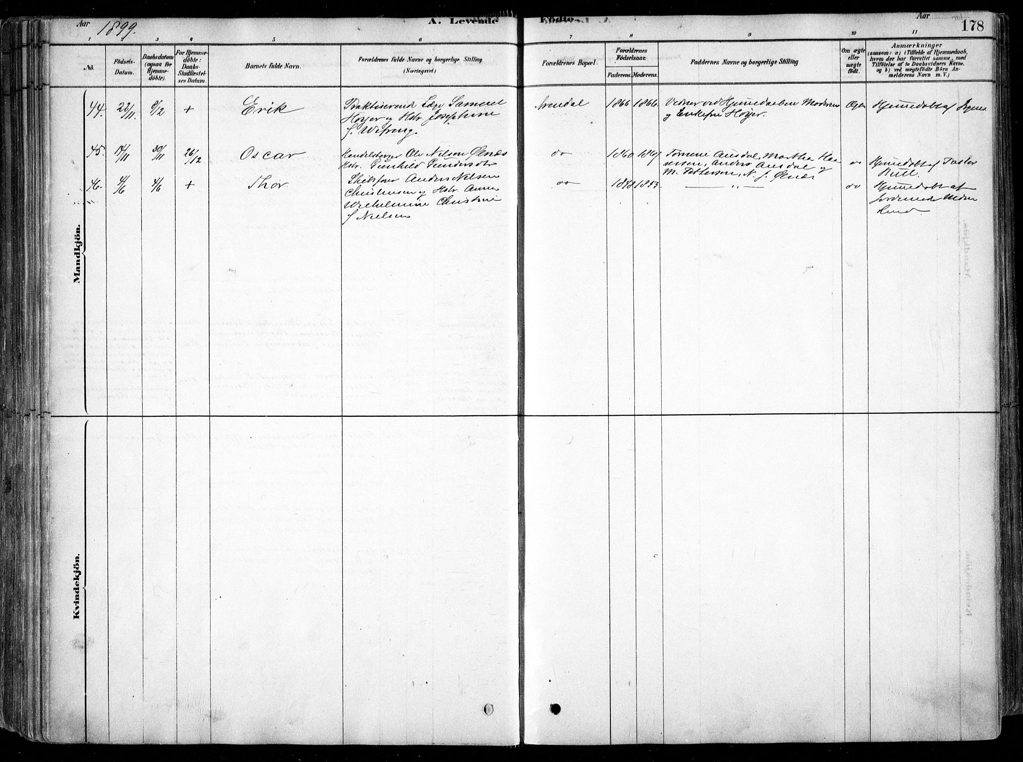 Arendal sokneprestkontor, Trefoldighet, AV/SAK-1111-0040/F/Fa/L0008: Ministerialbok nr. A 8, 1878-1899, s. 178