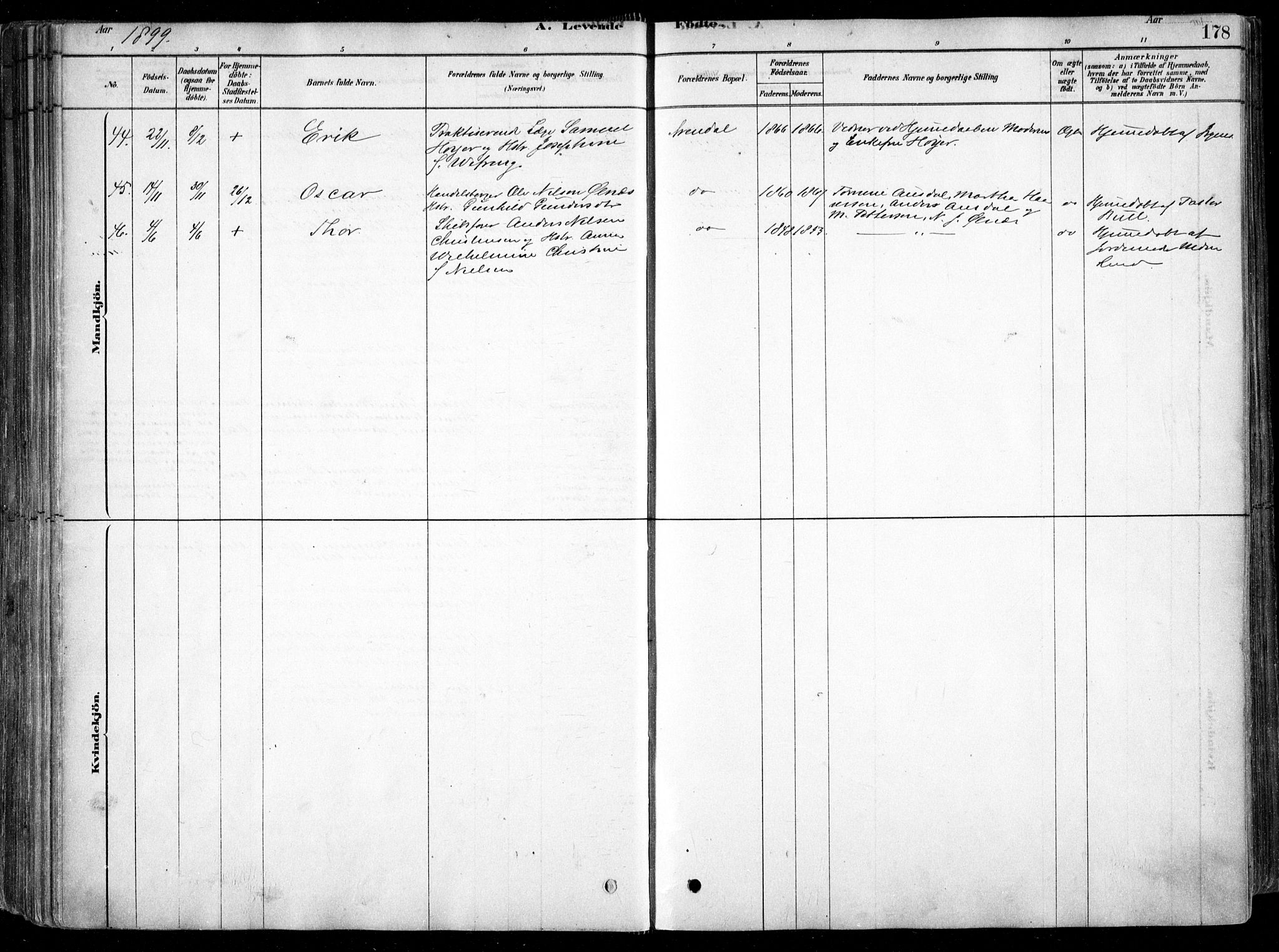 Arendal sokneprestkontor, Trefoldighet, SAK/1111-0040/F/Fa/L0008: Ministerialbok nr. A 8, 1878-1899, s. 178