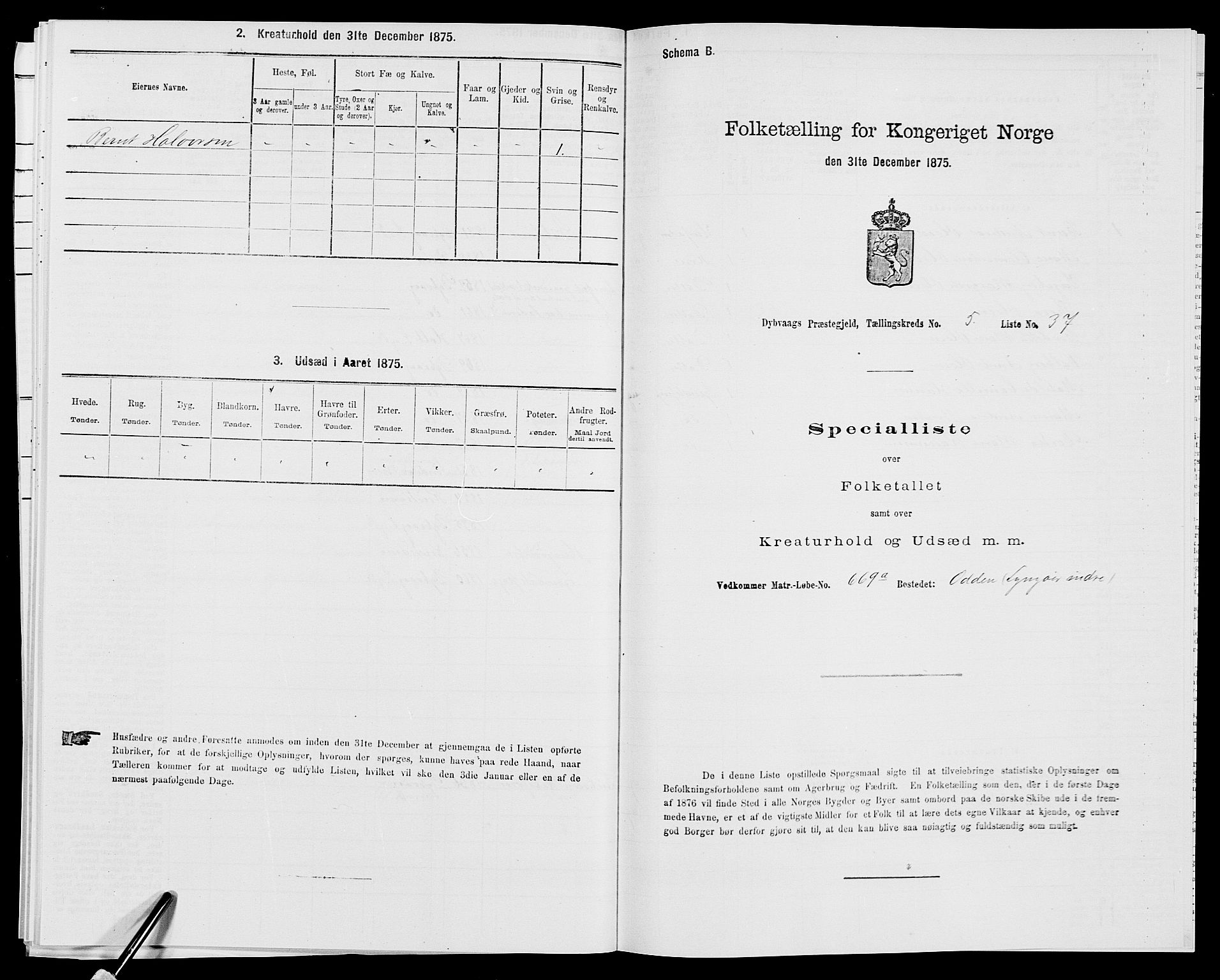 SAK, Folketelling 1875 for 0915P Dypvåg prestegjeld, 1875, s. 609