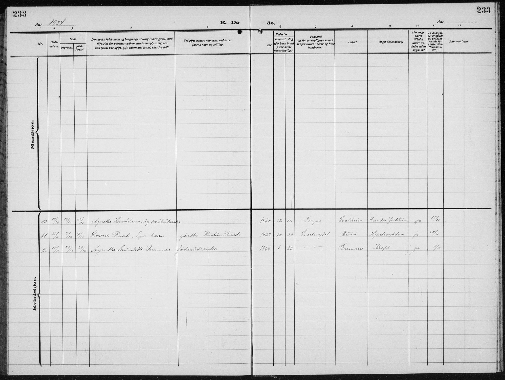 Biri prestekontor, AV/SAH-PREST-096/H/Ha/Hab/L0007: Klokkerbok nr. 7, 1919-1941, s. 233