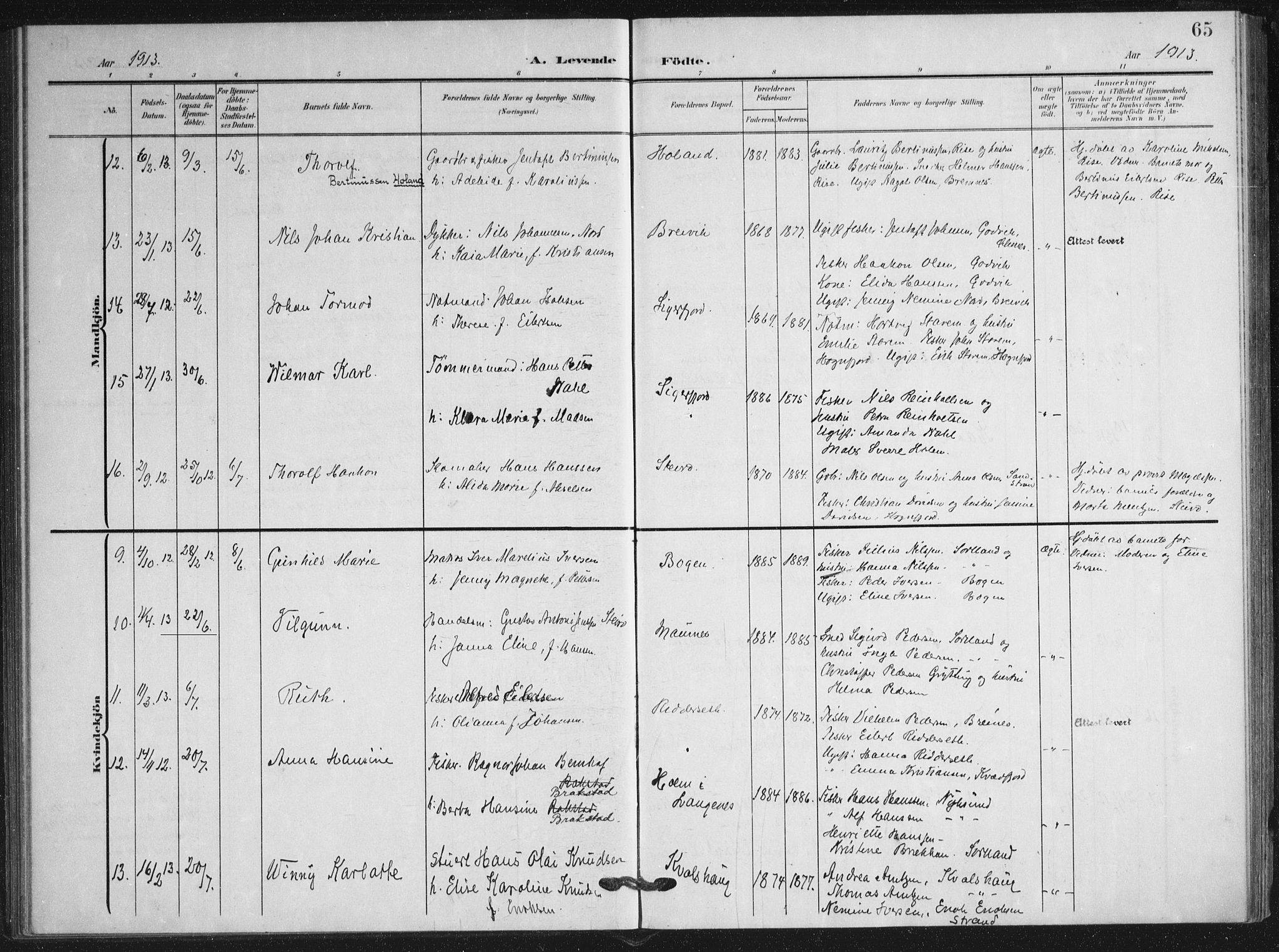 Ministerialprotokoller, klokkerbøker og fødselsregistre - Nordland, AV/SAT-A-1459/895/L1373: Ministerialbok nr. 895A08, 1905-1915, s. 65