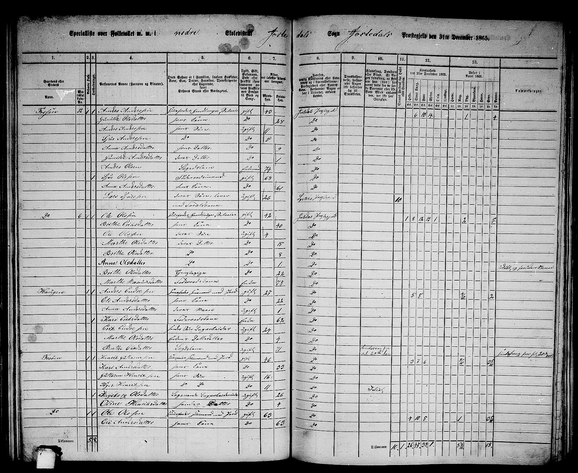 RA, Folketelling 1865 for 1427P Jostedal prestegjeld, 1865, s. 17