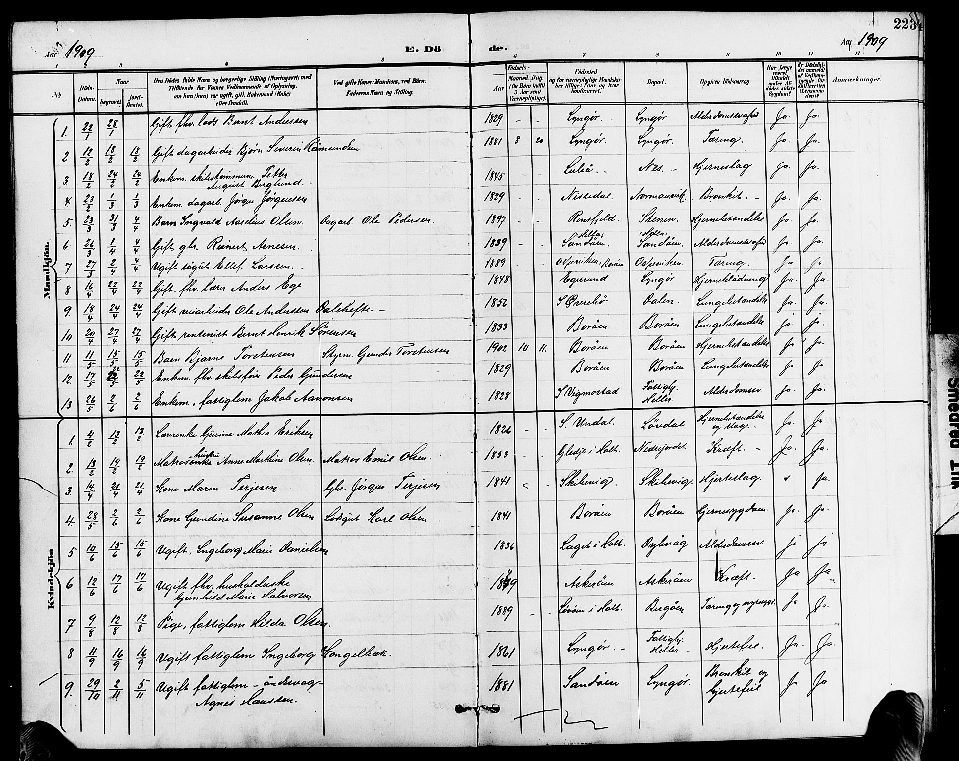 Dypvåg sokneprestkontor, AV/SAK-1111-0007/F/Fb/Fba/L0014: Klokkerbok nr. B 14, 1901-1922, s. 223