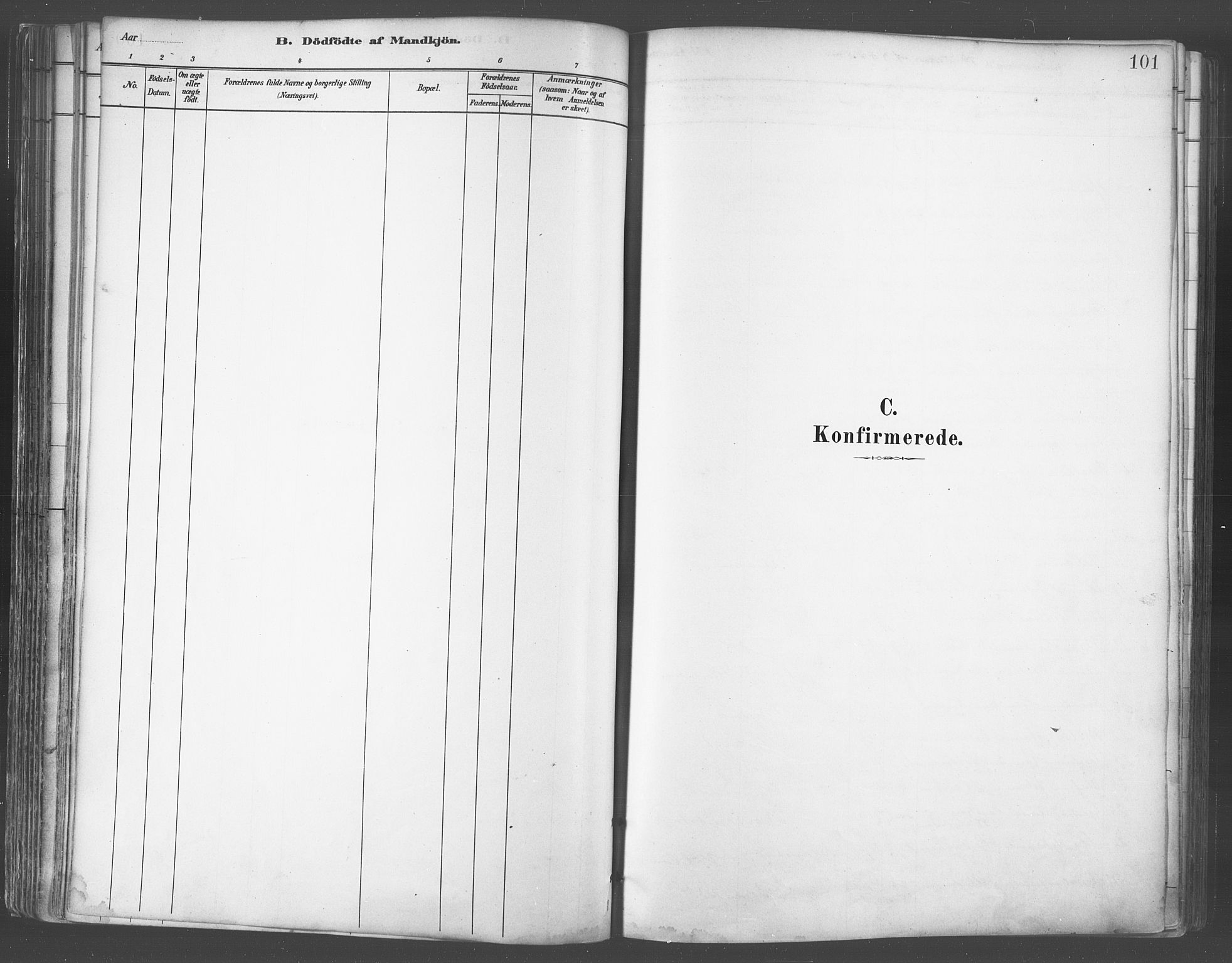 Balsfjord sokneprestembete, SATØ/S-1303/G/Ga/L0005kirke: Ministerialbok nr. 5, 1884-1897, s. 101