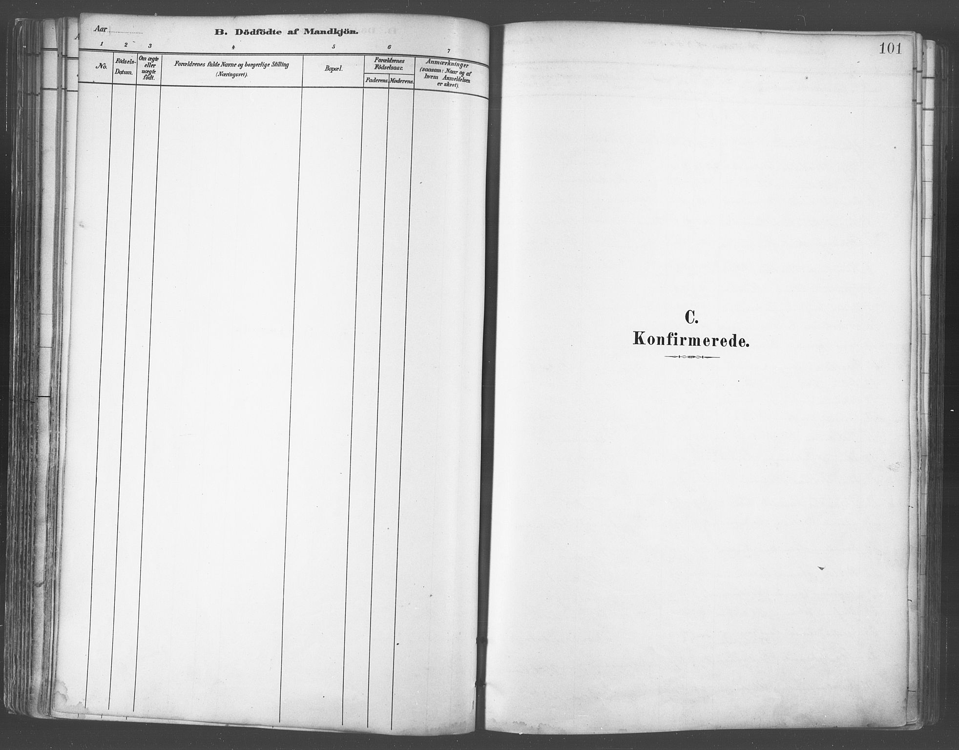 Balsfjord sokneprestembete, AV/SATØ-S-1303/G/Gaa/L0005kirke: Ministerialbok nr. 5, 1884-1897, s. 101