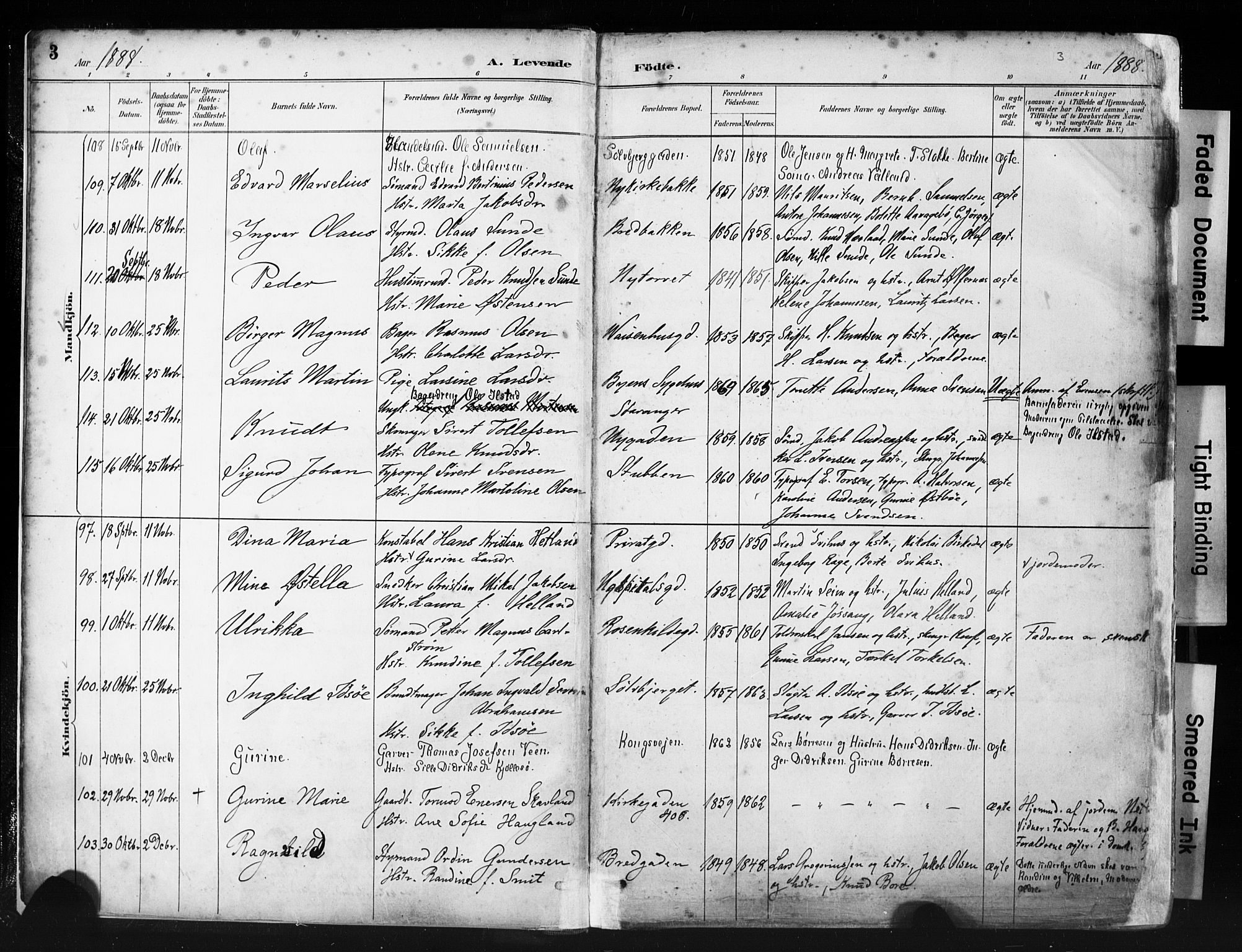 St. Petri sokneprestkontor, AV/SAST-A-101813/001/30/30BA/L0019: Ministerialbok nr. A 20, 1888-1901, s. 3