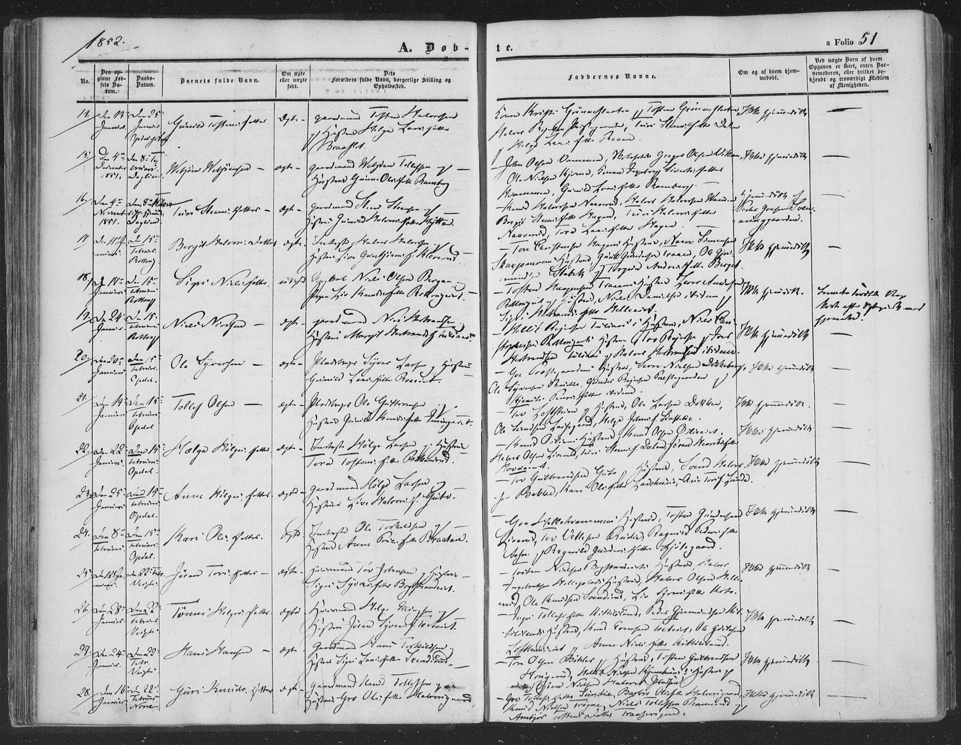 Rollag kirkebøker, AV/SAKO-A-240/F/Fa/L0008: Ministerialbok nr. I 8, 1847-1860, s. 51