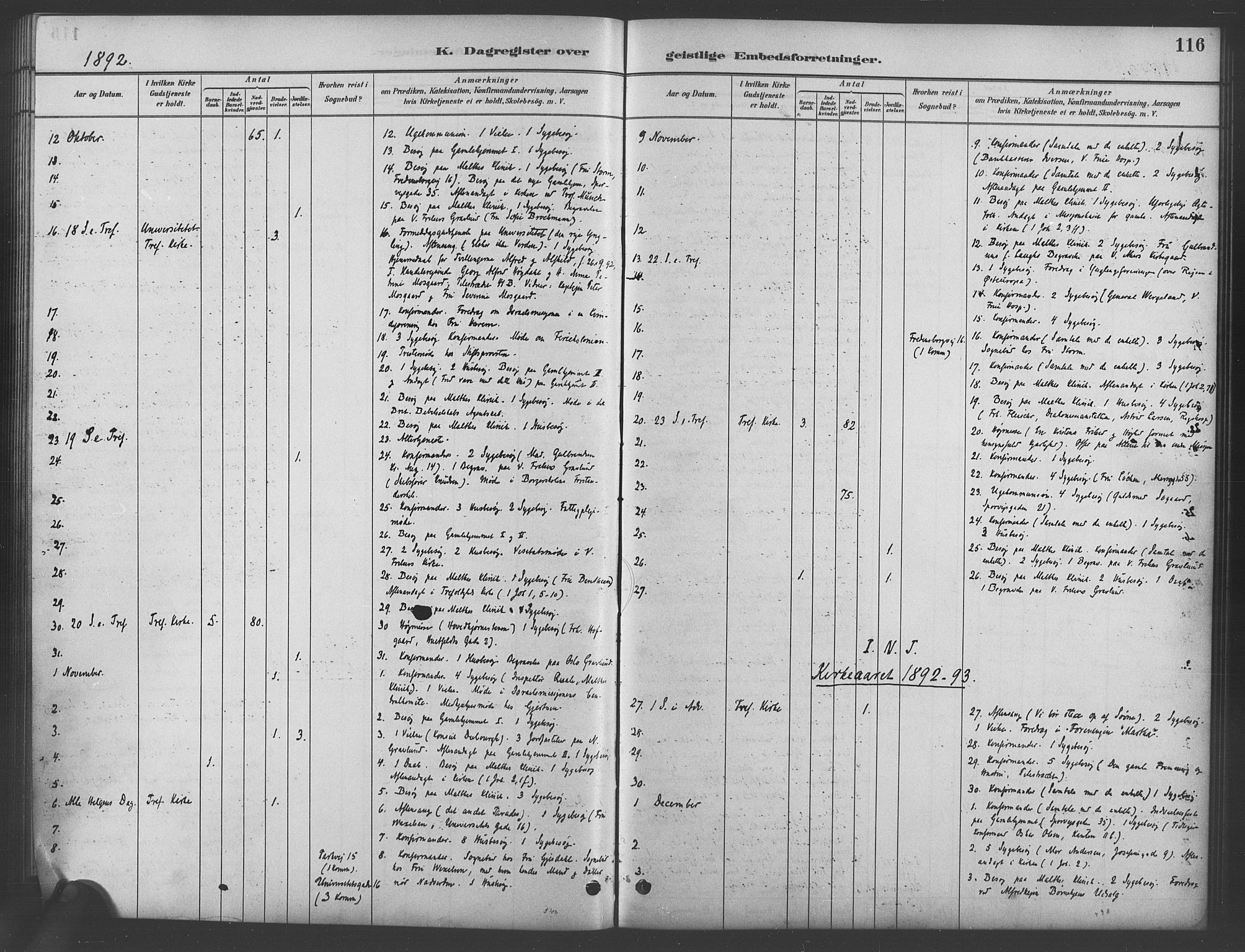 Trefoldighet prestekontor Kirkebøker, SAO/A-10882/I/Ia/L0003: Dagregister nr. 3, 1881-1901, s. 116