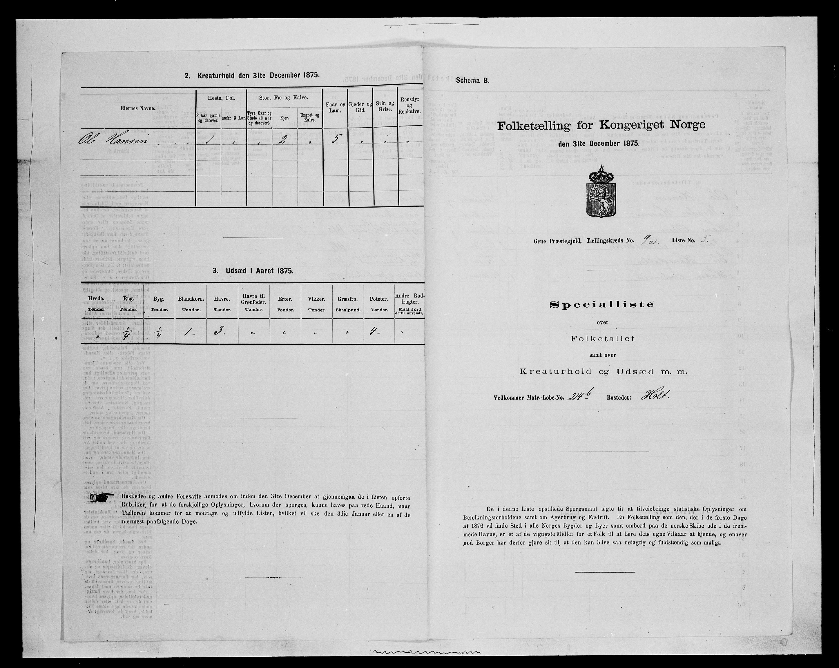 SAH, Folketelling 1875 for 0423P Grue prestegjeld, 1875, s. 1575