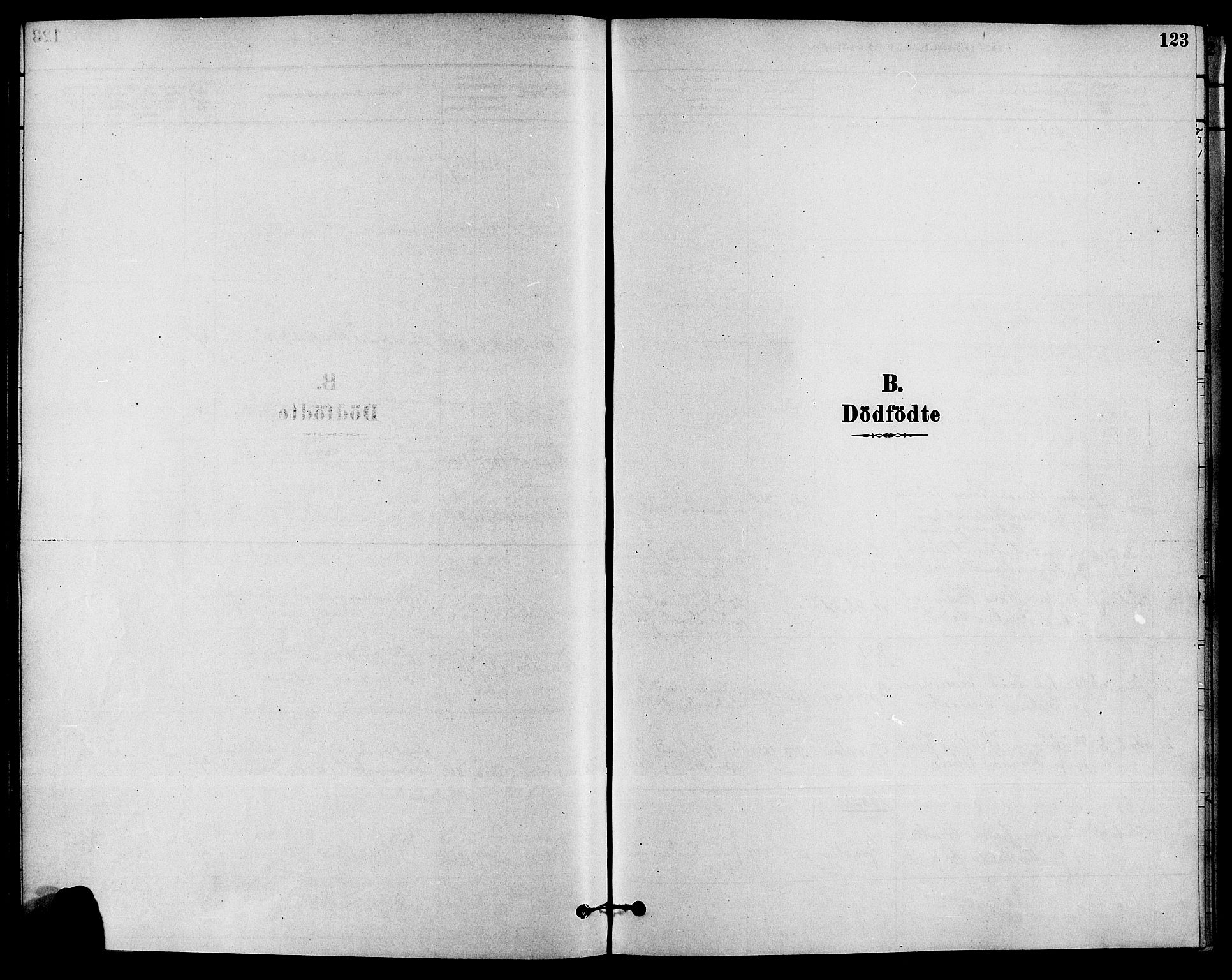 Solum kirkebøker, SAKO/A-306/F/Fa/L0009: Ministerialbok nr. I 9, 1877-1887, s. 123