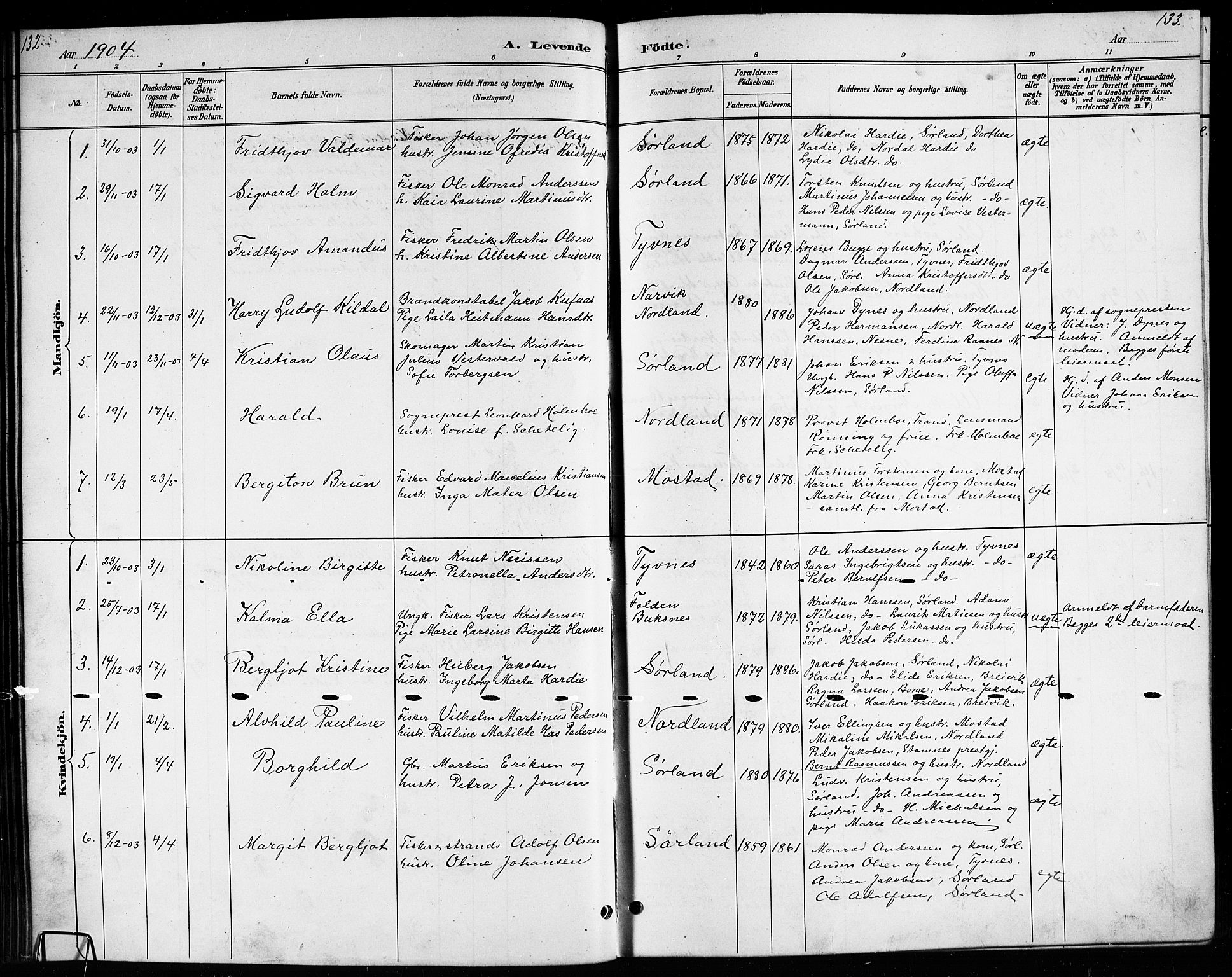 Ministerialprotokoller, klokkerbøker og fødselsregistre - Nordland, AV/SAT-A-1459/807/L0123: Klokkerbok nr. 807C01, 1884-1910, s. 132-133