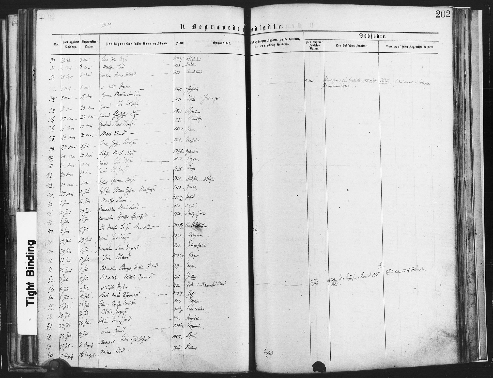 Nannestad prestekontor Kirkebøker, AV/SAO-A-10414a/F/Fa/L0013: Ministerialbok nr. I 13, 1873-1880, s. 202