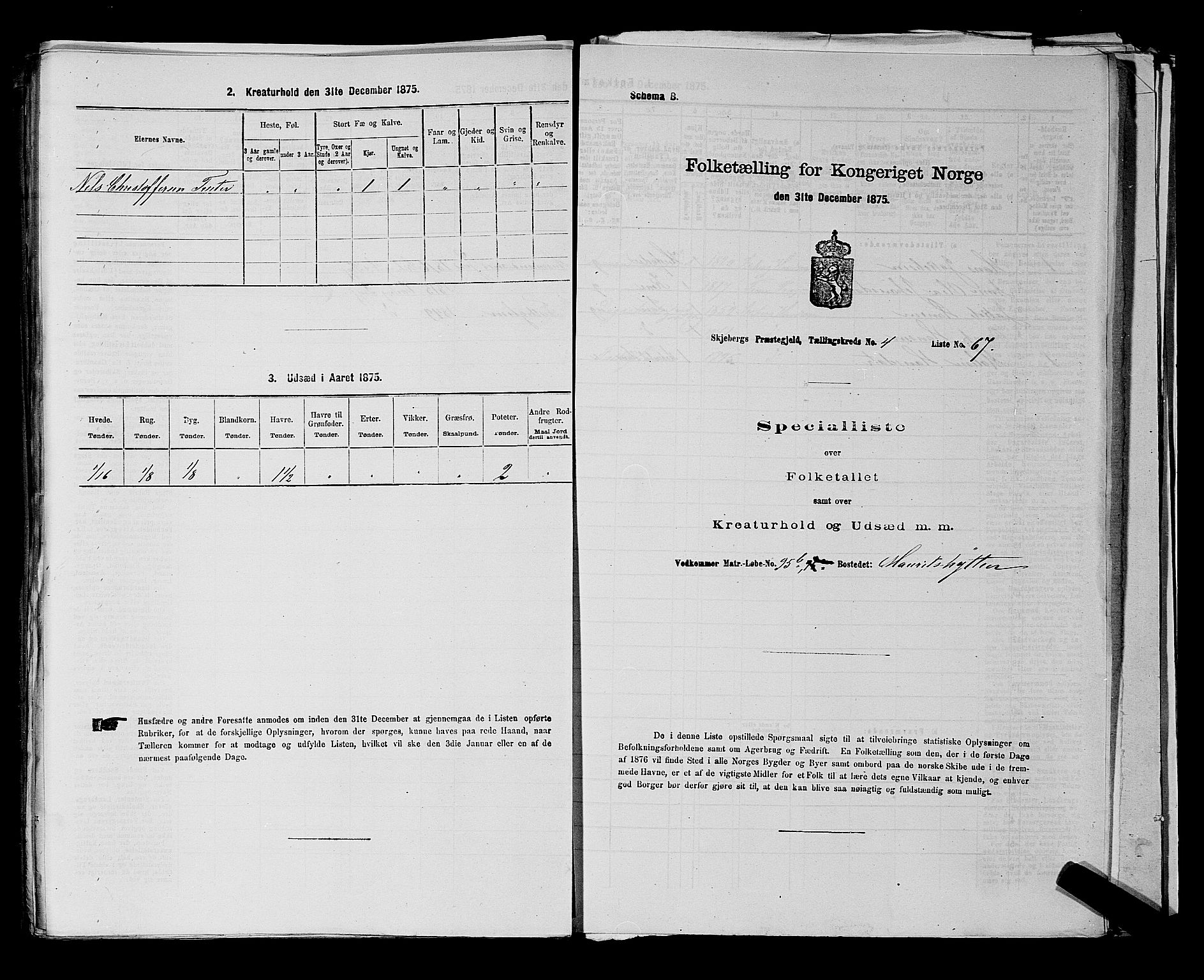 RA, Folketelling 1875 for 0115P Skjeberg prestegjeld, 1875, s. 843