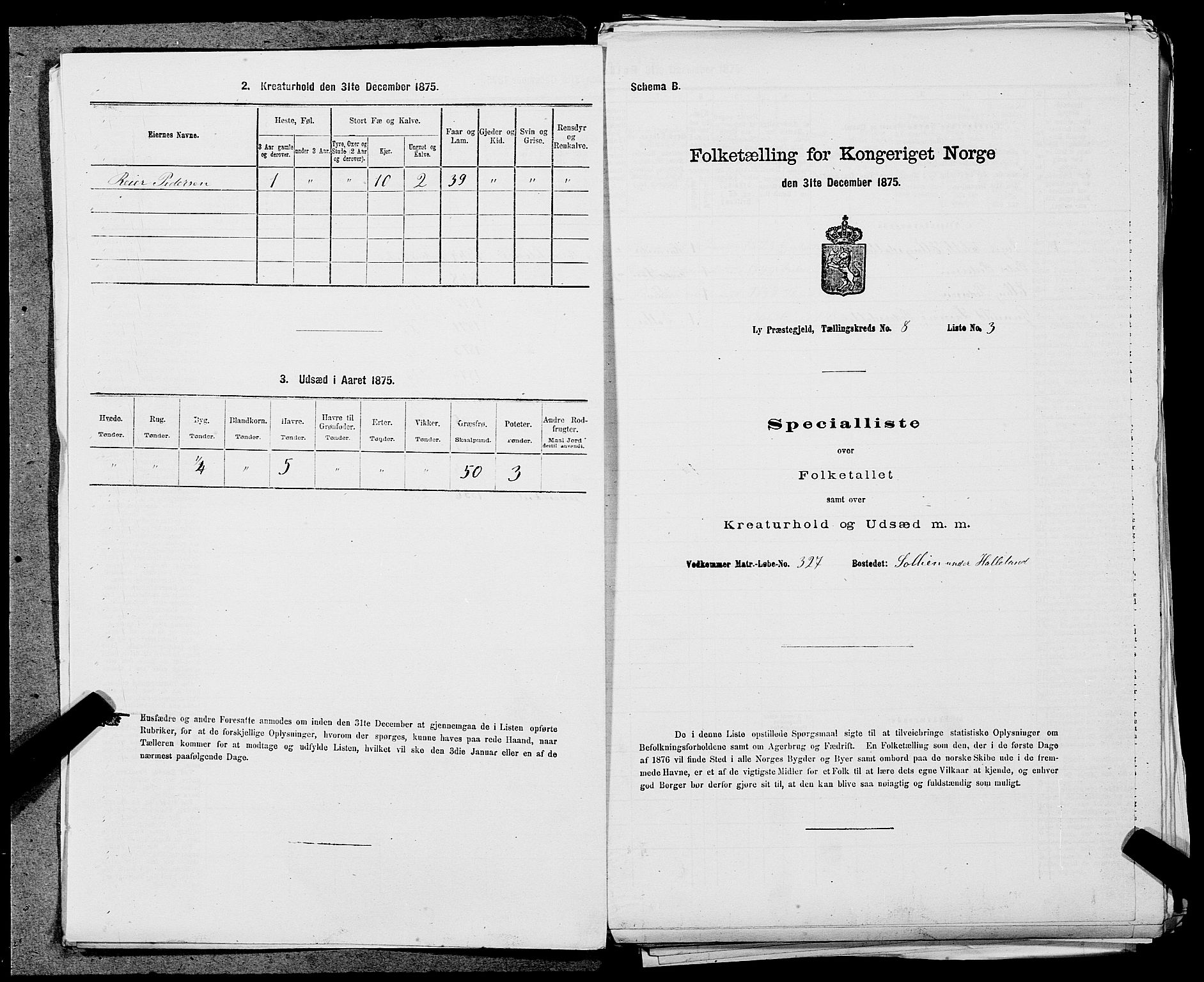 SAST, Folketelling 1875 for 1121P Lye prestegjeld, 1875, s. 928