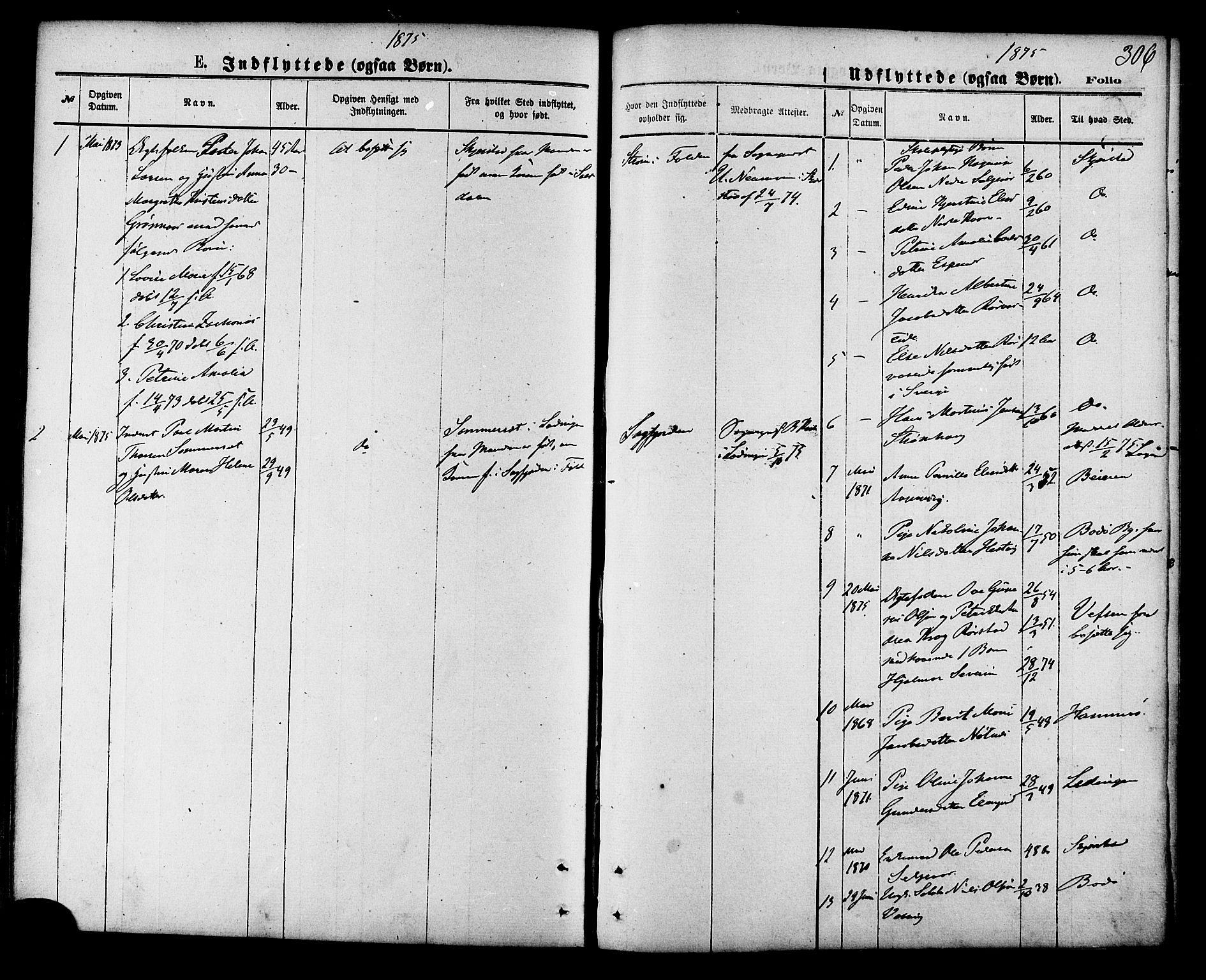 Ministerialprotokoller, klokkerbøker og fødselsregistre - Nordland, AV/SAT-A-1459/853/L0771: Ministerialbok nr. 853A10, 1870-1881, s. 306