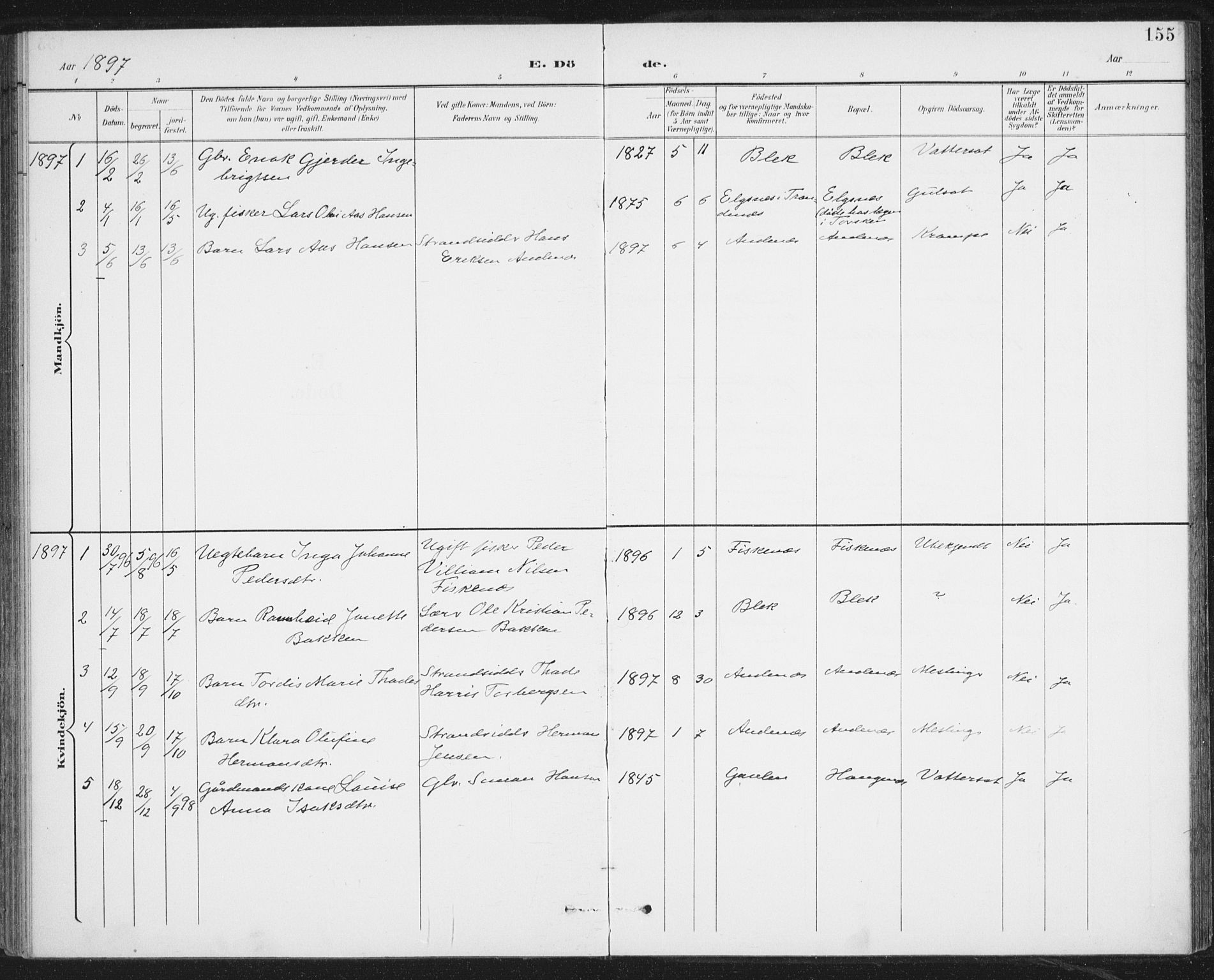 Ministerialprotokoller, klokkerbøker og fødselsregistre - Nordland, AV/SAT-A-1459/899/L1437: Ministerialbok nr. 899A05, 1897-1908, s. 155