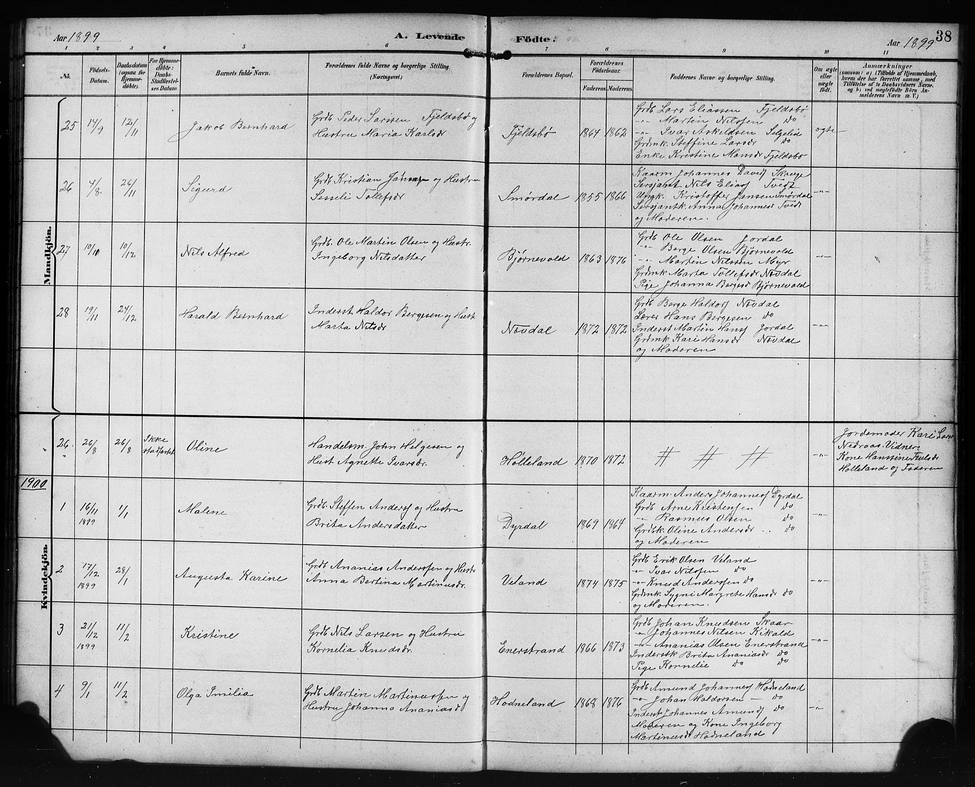 Lindås Sokneprestembete, AV/SAB-A-76701/H/Hab/Habe/L0003: Klokkerbok nr. E 3, 1892-1905, s. 38