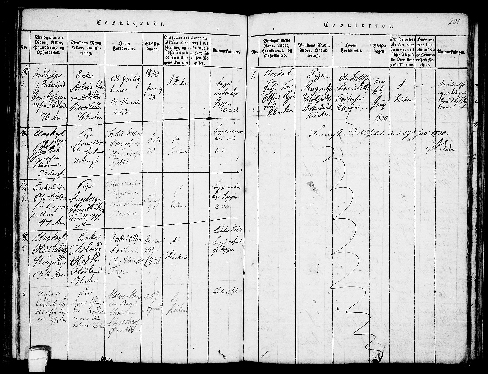 Hjartdal kirkebøker, AV/SAKO-A-270/F/Fa/L0007: Ministerialbok nr. I 7, 1815-1843, s. 201