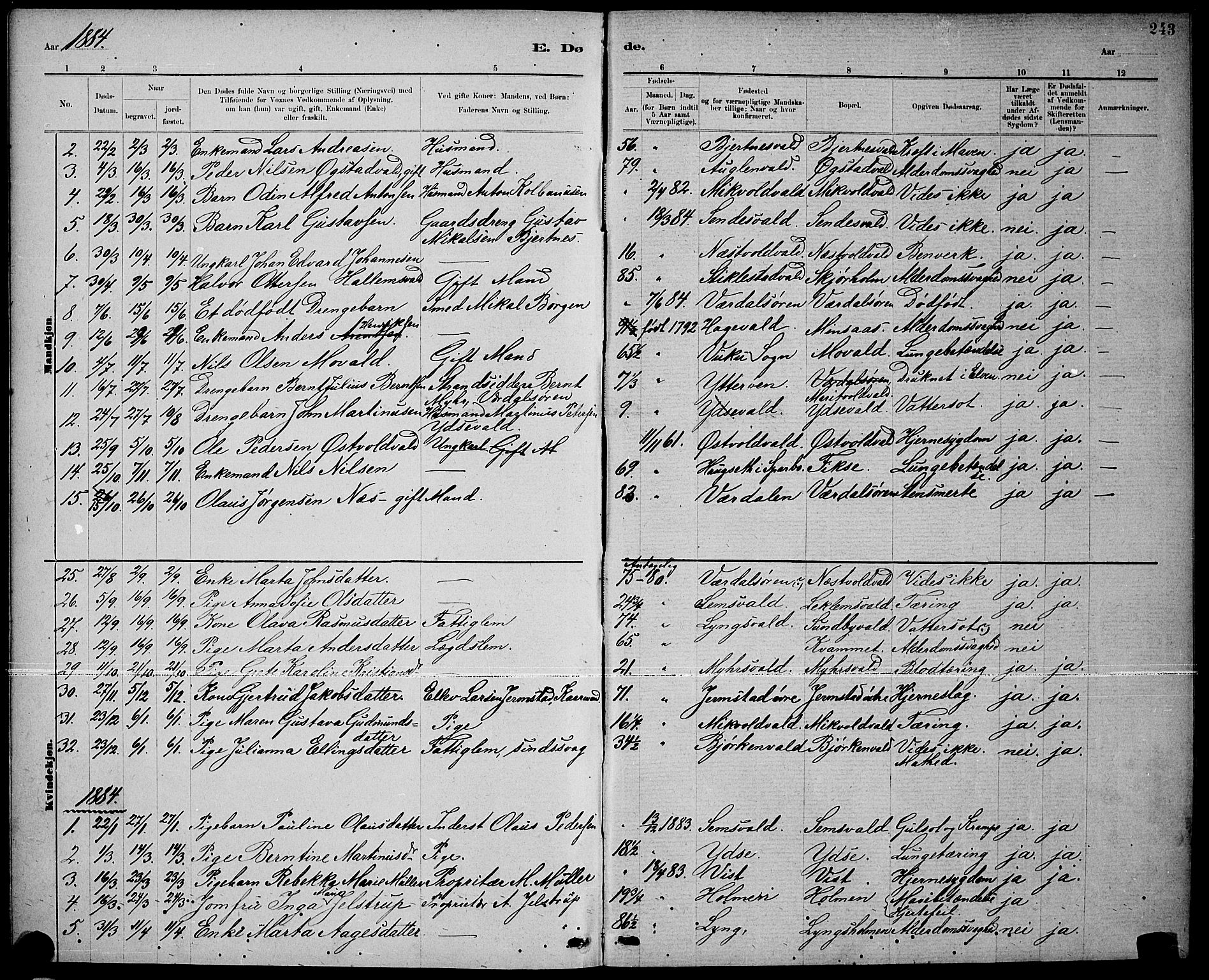 Ministerialprotokoller, klokkerbøker og fødselsregistre - Nord-Trøndelag, SAT/A-1458/723/L0256: Klokkerbok nr. 723C04, 1879-1890, s. 243
