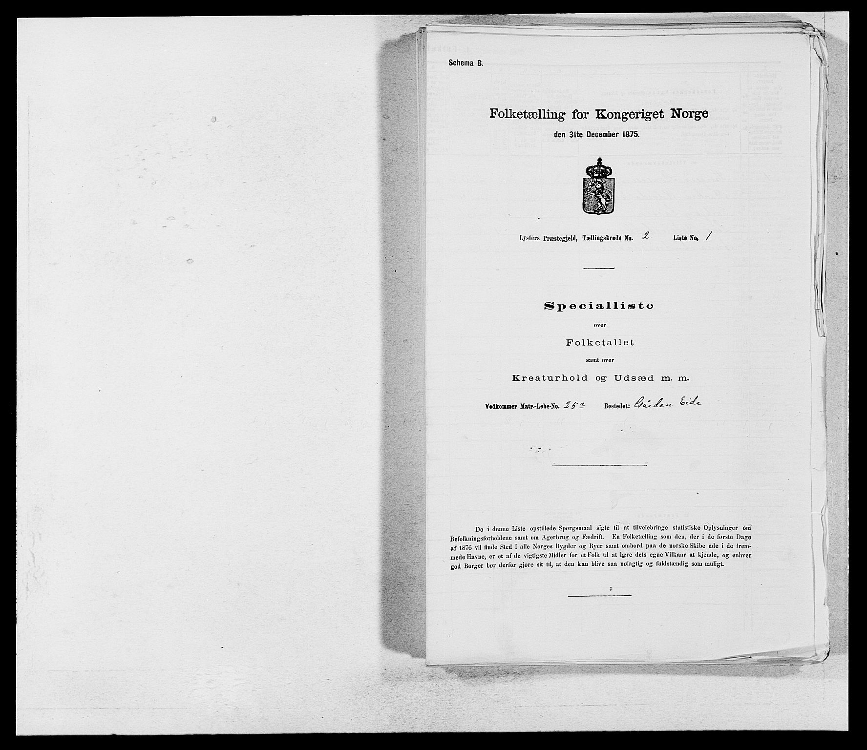 SAB, Folketelling 1875 for 1426P Luster prestegjeld, 1875, s. 246