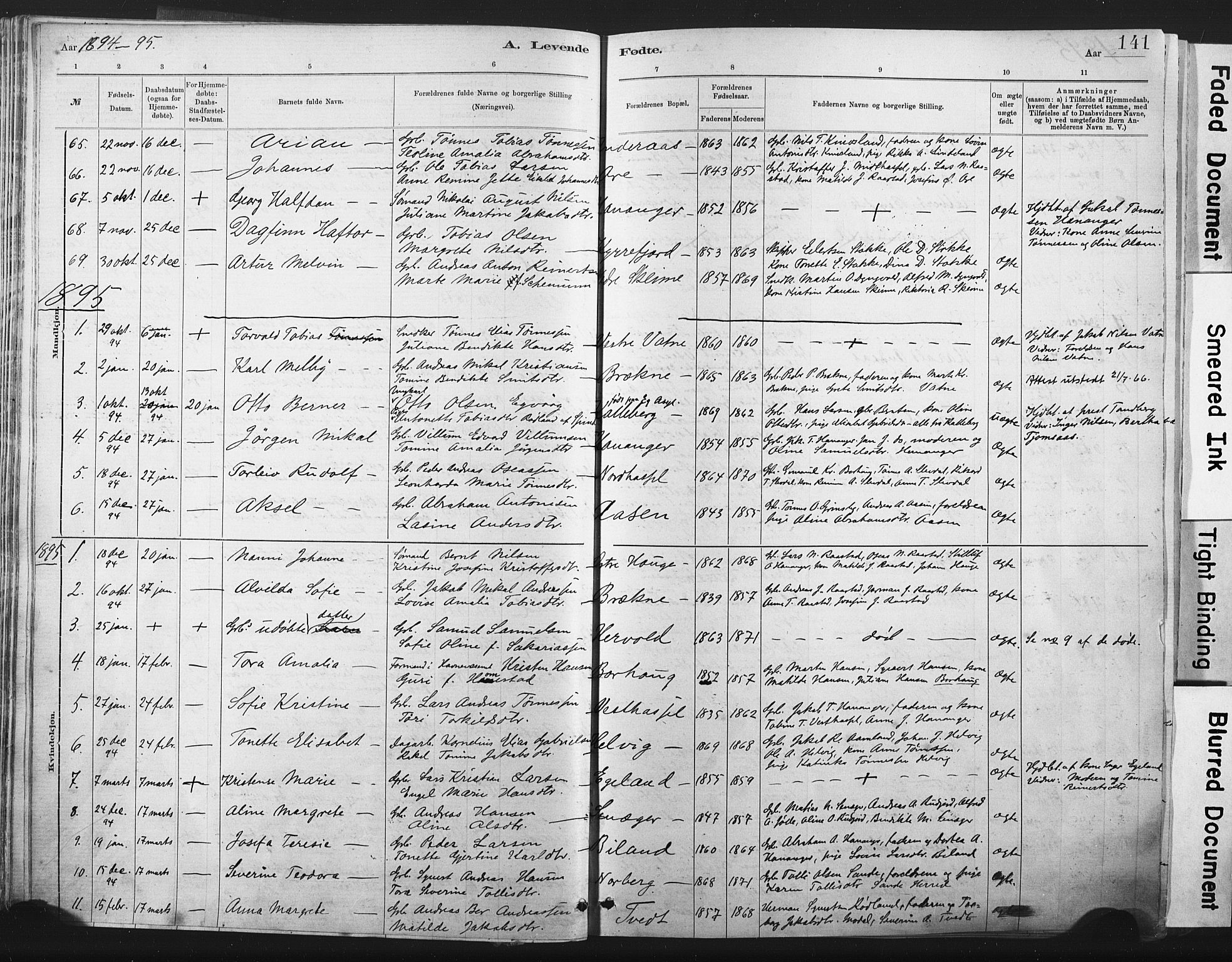 Lista sokneprestkontor, AV/SAK-1111-0027/F/Fa/L0012: Ministerialbok nr. A 12, 1879-1903, s. 141
