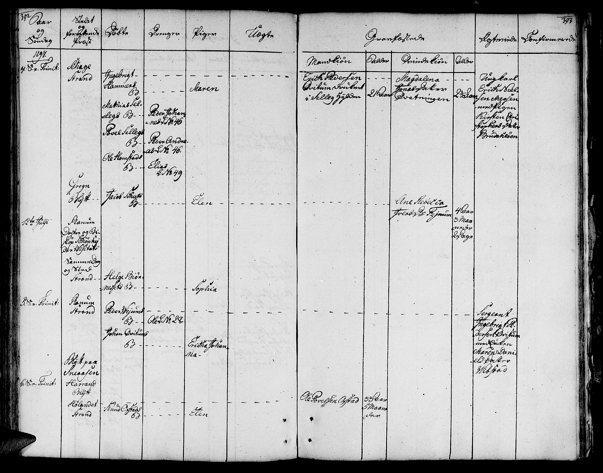 Ministerialprotokoller, klokkerbøker og fødselsregistre - Nord-Trøndelag, AV/SAT-A-1458/764/L0544: Ministerialbok nr. 764A04, 1780-1798, s. 392-393