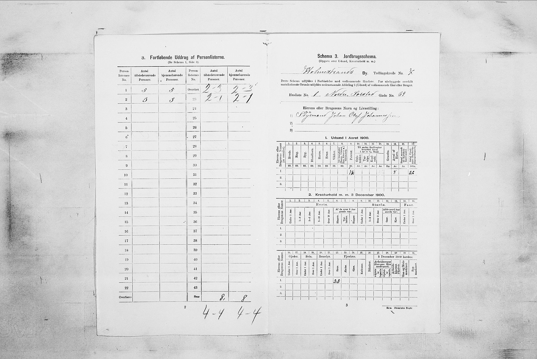 RA, Folketelling 1900 for 0702 Holmestrand kjøpstad, 1900, s. 1512