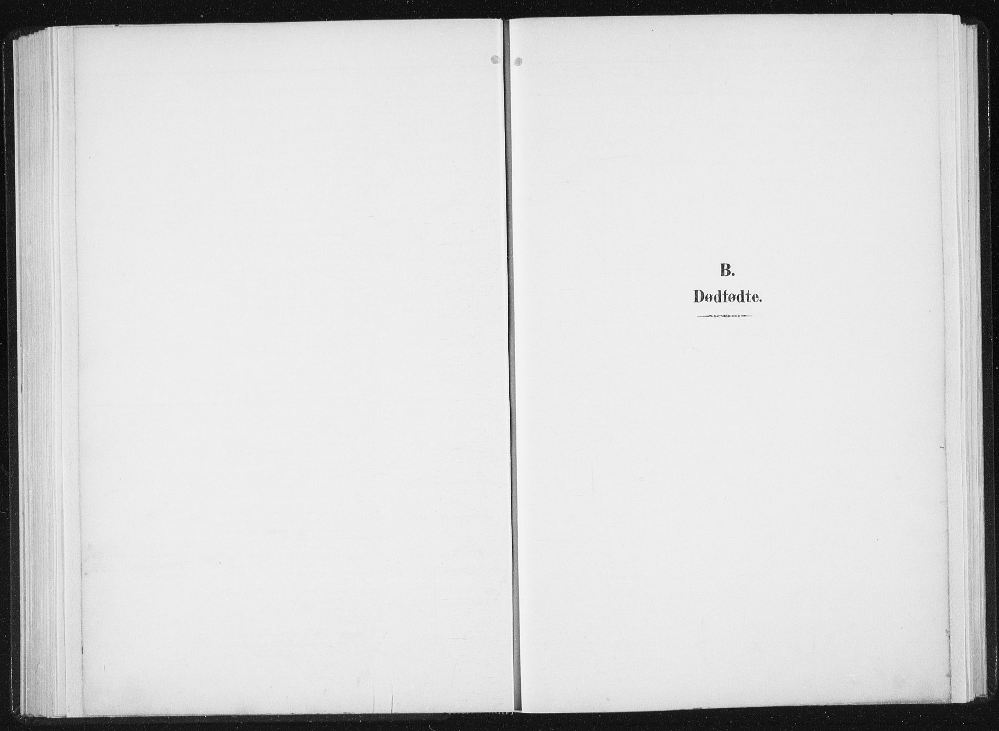 Ministerialprotokoller, klokkerbøker og fødselsregistre - Sør-Trøndelag, AV/SAT-A-1456/647/L0635: Ministerialbok nr. 647A02, 1896-1911