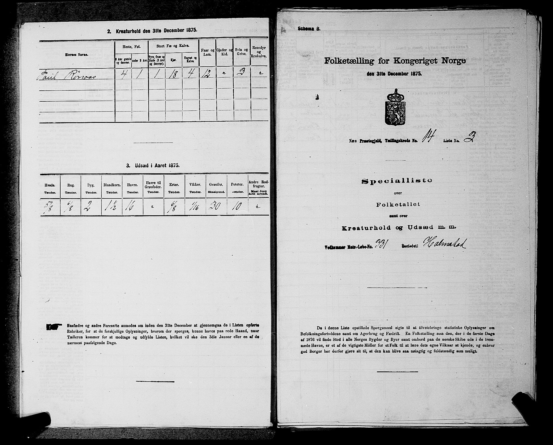 RA, Folketelling 1875 for 0236P Nes prestegjeld, 1875, s. 2488