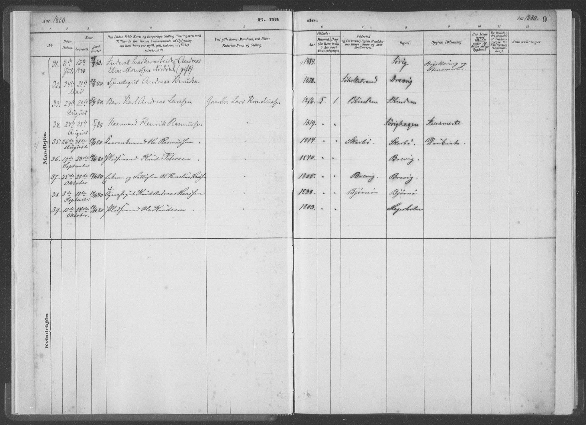 Ministerialprotokoller, klokkerbøker og fødselsregistre - Møre og Romsdal, AV/SAT-A-1454/528/L0403: Ministerialbok nr. 528A13I, 1880-1947, s. 9