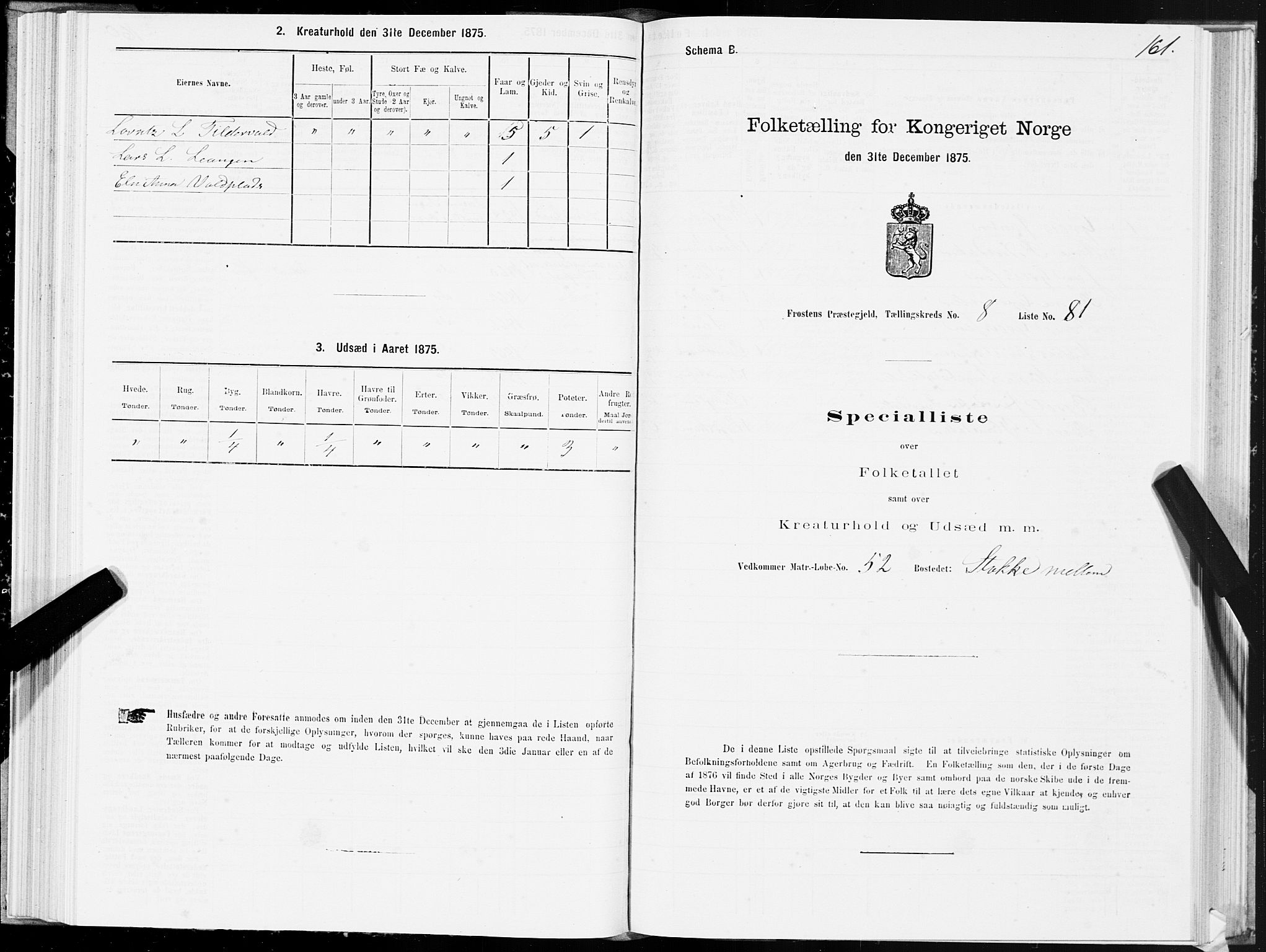 SAT, Folketelling 1875 for 1717P Frosta prestegjeld, 1875, s. 6161