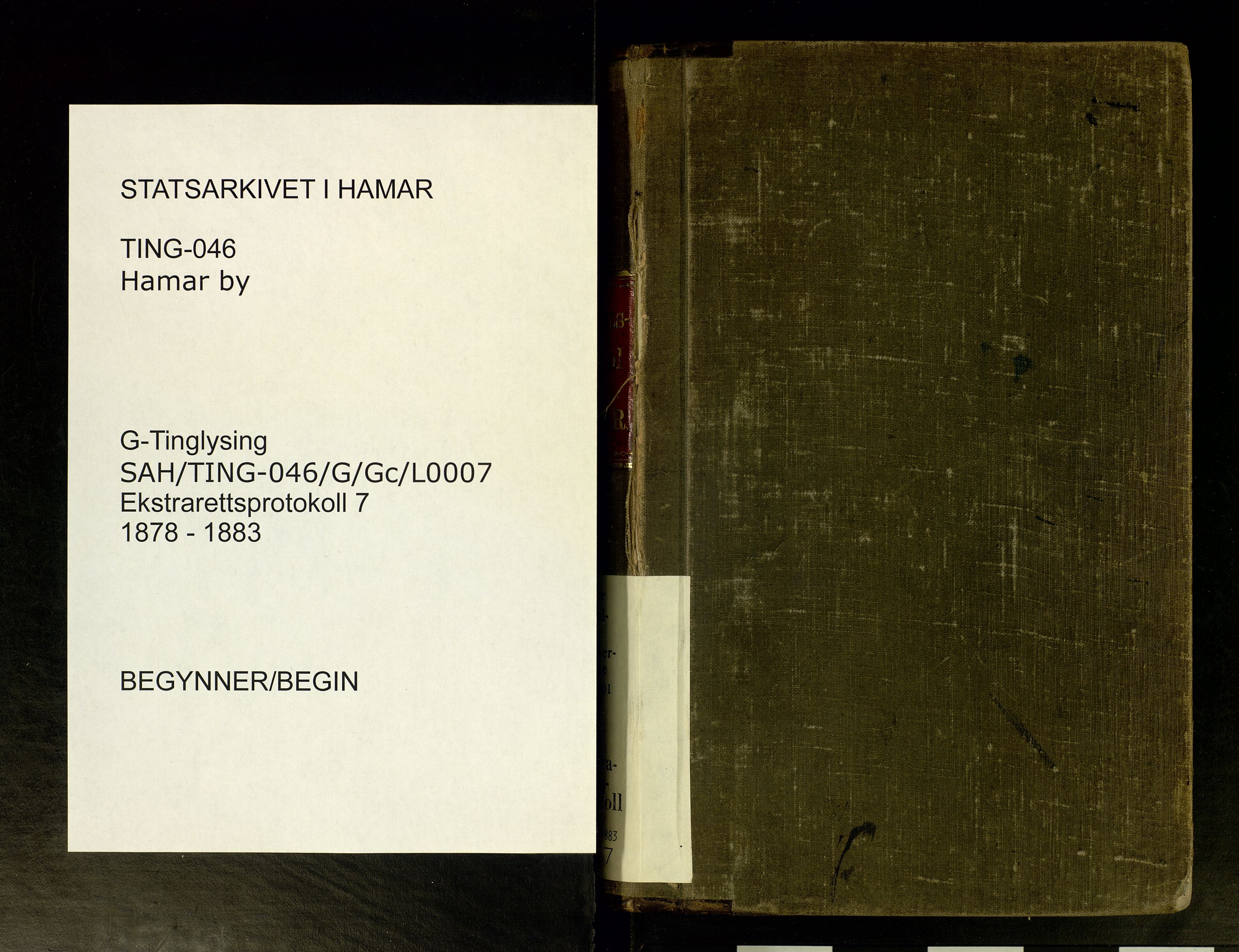 Hamar byfogd og byskriver, SAH/TING-046/G/Gc/L0007: Ekstrarettsprotokoll, 1878-1883