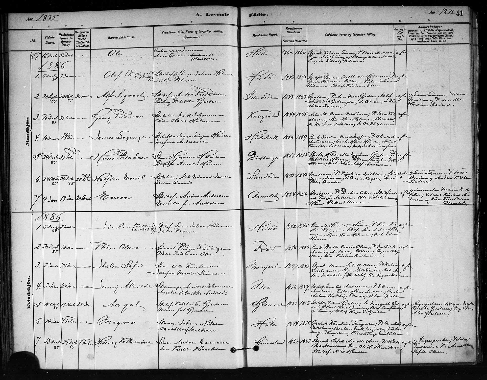 Tjøme kirkebøker, AV/SAKO-A-328/F/Fa/L0001: Ministerialbok nr. I 1, 1879-1890, s. 41