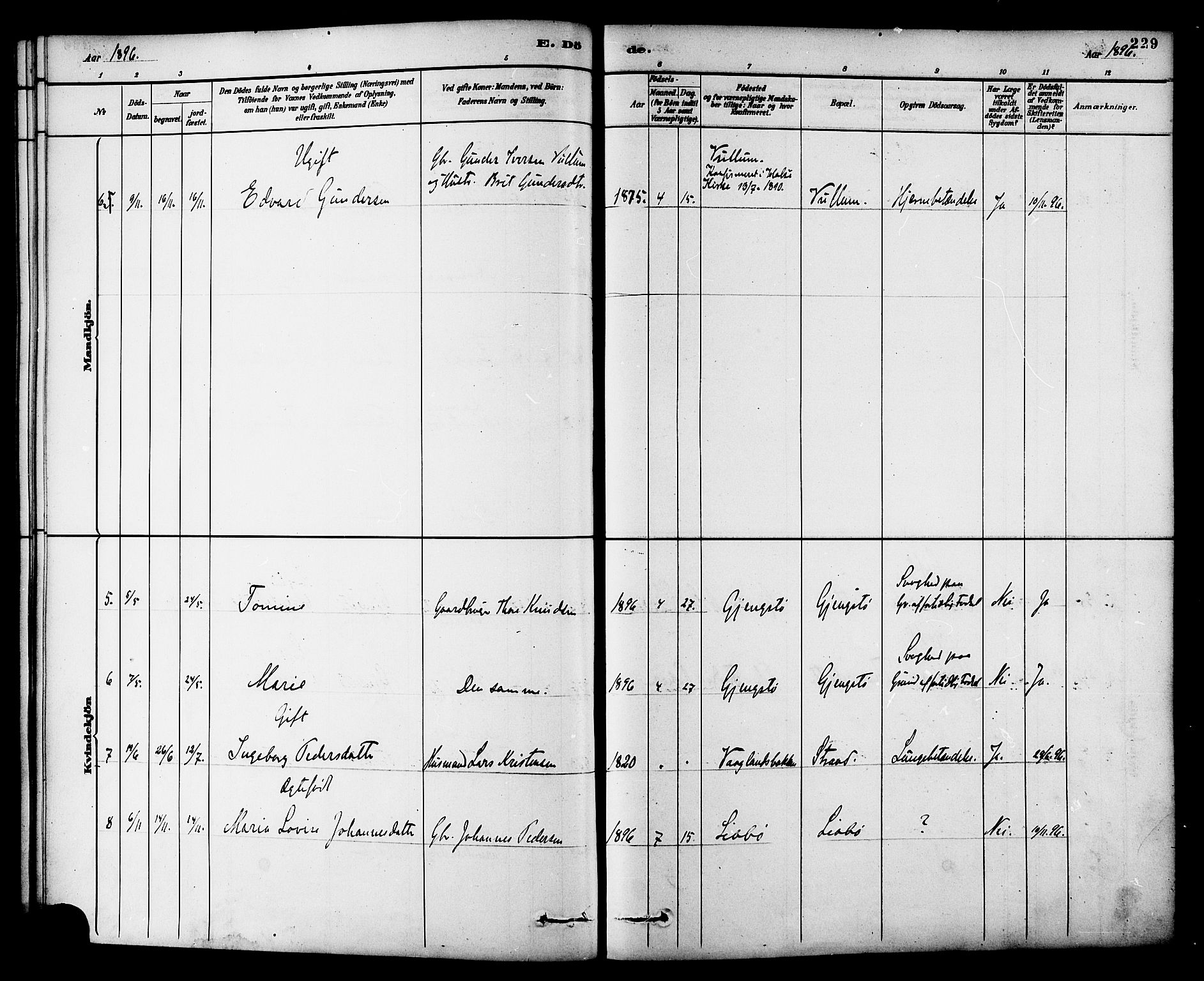 Ministerialprotokoller, klokkerbøker og fødselsregistre - Møre og Romsdal, AV/SAT-A-1454/576/L0885: Ministerialbok nr. 576A03, 1880-1898, s. 229