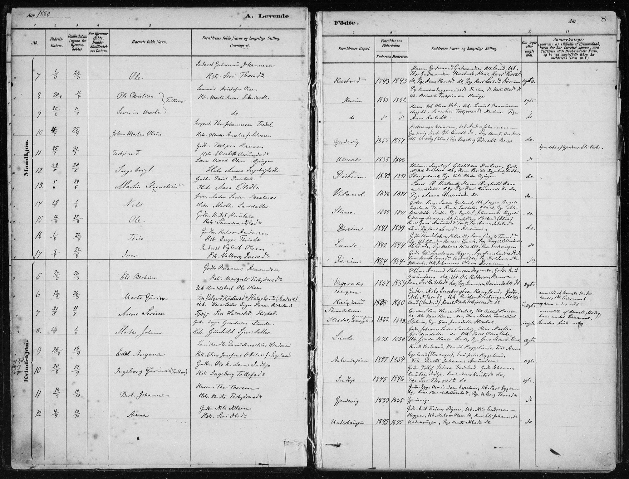 Fjelberg sokneprestembete, AV/SAB-A-75201/H/Haa: Ministerialbok nr. D 1, 1879-1918, s. 8