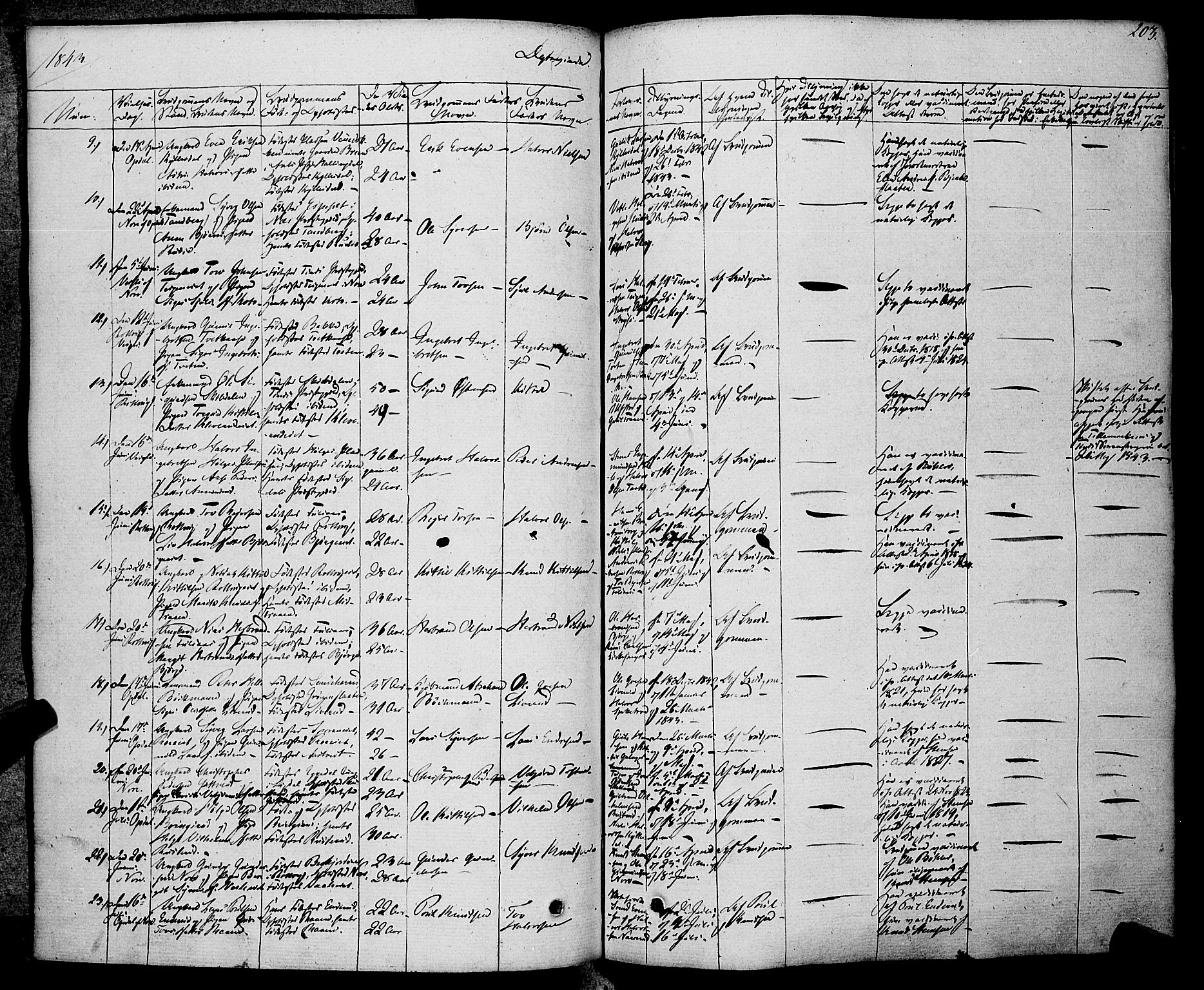 Rollag kirkebøker, SAKO/A-240/F/Fa/L0007: Ministerialbok nr. I 7, 1828-1847, s. 203