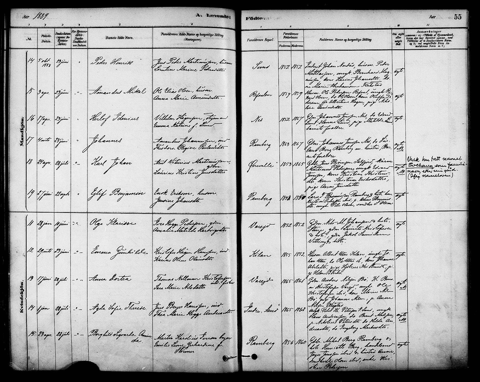 Ministerialprotokoller, klokkerbøker og fødselsregistre - Nordland, AV/SAT-A-1459/885/L1204: Ministerialbok nr. 885A05, 1878-1892, s. 55