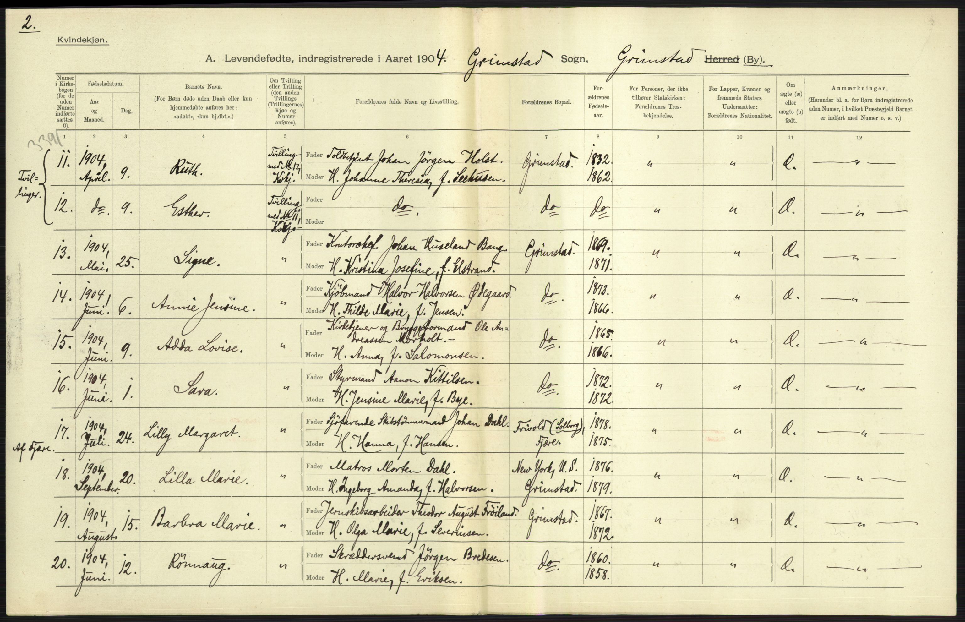 Statistisk sentralbyrå, Sosiodemografiske emner, Befolkning, AV/RA-S-2228/D/Df/Dfa/Dfab/L0010: Nedenes amt: Fødte, gifte, døde, 1904, s. 253