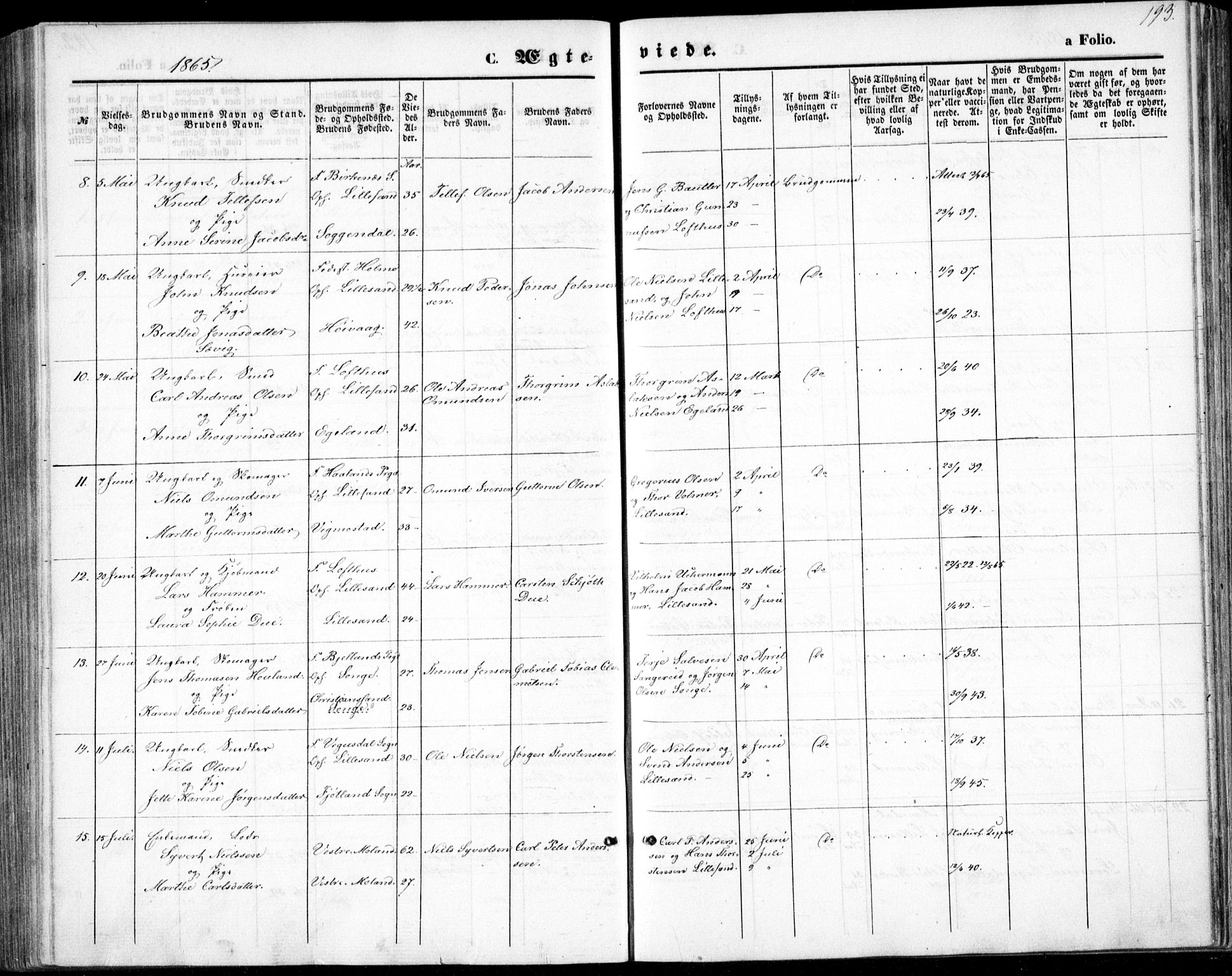 Vestre Moland sokneprestkontor, AV/SAK-1111-0046/F/Fb/Fbb/L0004: Klokkerbok nr. B 4, 1861-1872, s. 193
