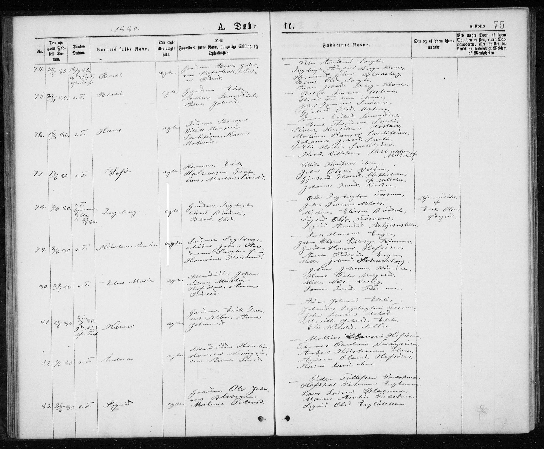 Ministerialprotokoller, klokkerbøker og fødselsregistre - Sør-Trøndelag, AV/SAT-A-1456/668/L0817: Klokkerbok nr. 668C06, 1873-1884, s. 75