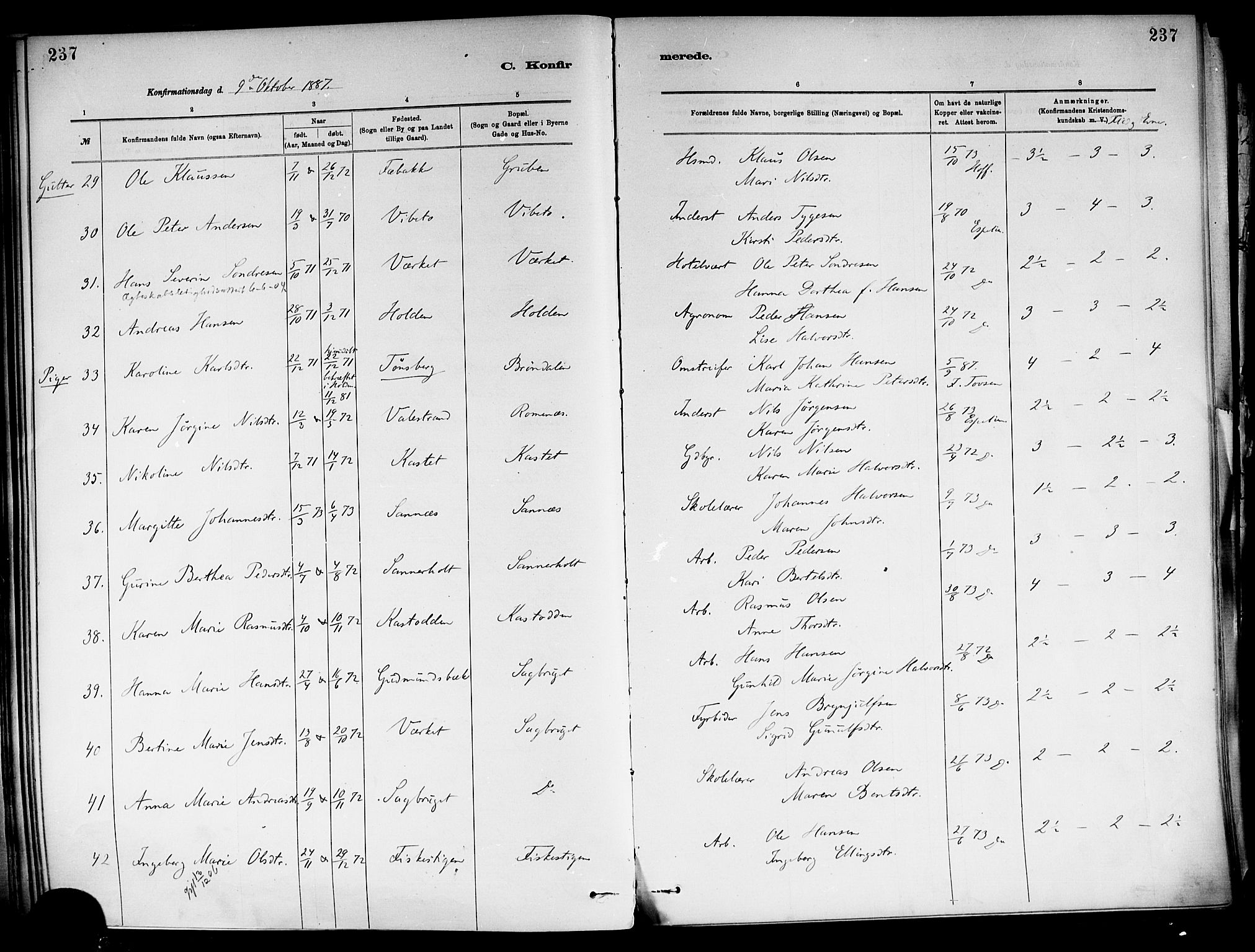 Holla kirkebøker, AV/SAKO-A-272/F/Fa/L0008: Ministerialbok nr. 8, 1882-1897, s. 237
