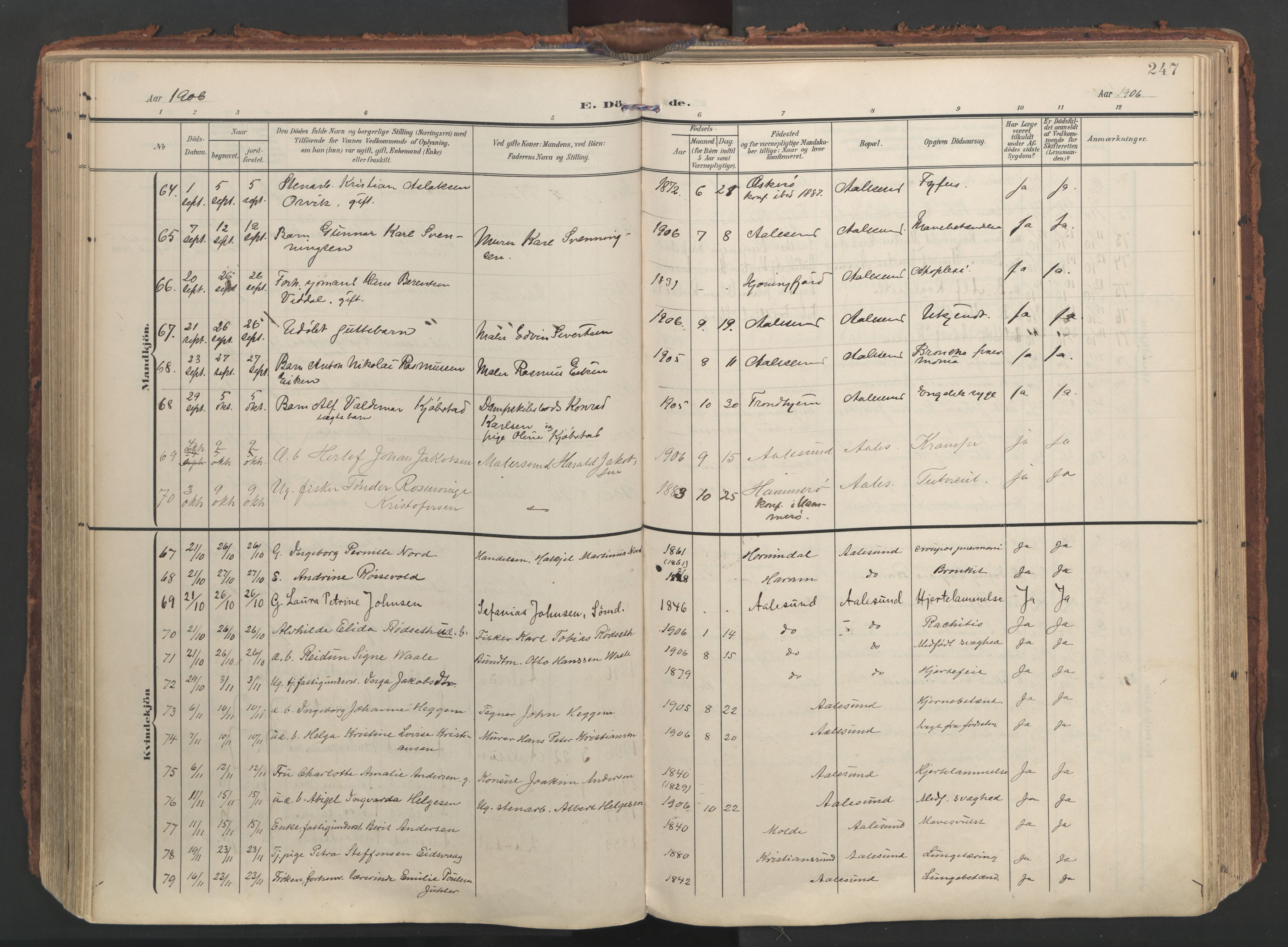 Ministerialprotokoller, klokkerbøker og fødselsregistre - Møre og Romsdal, AV/SAT-A-1454/529/L0459: Ministerialbok nr. 529A09, 1904-1917, s. 247