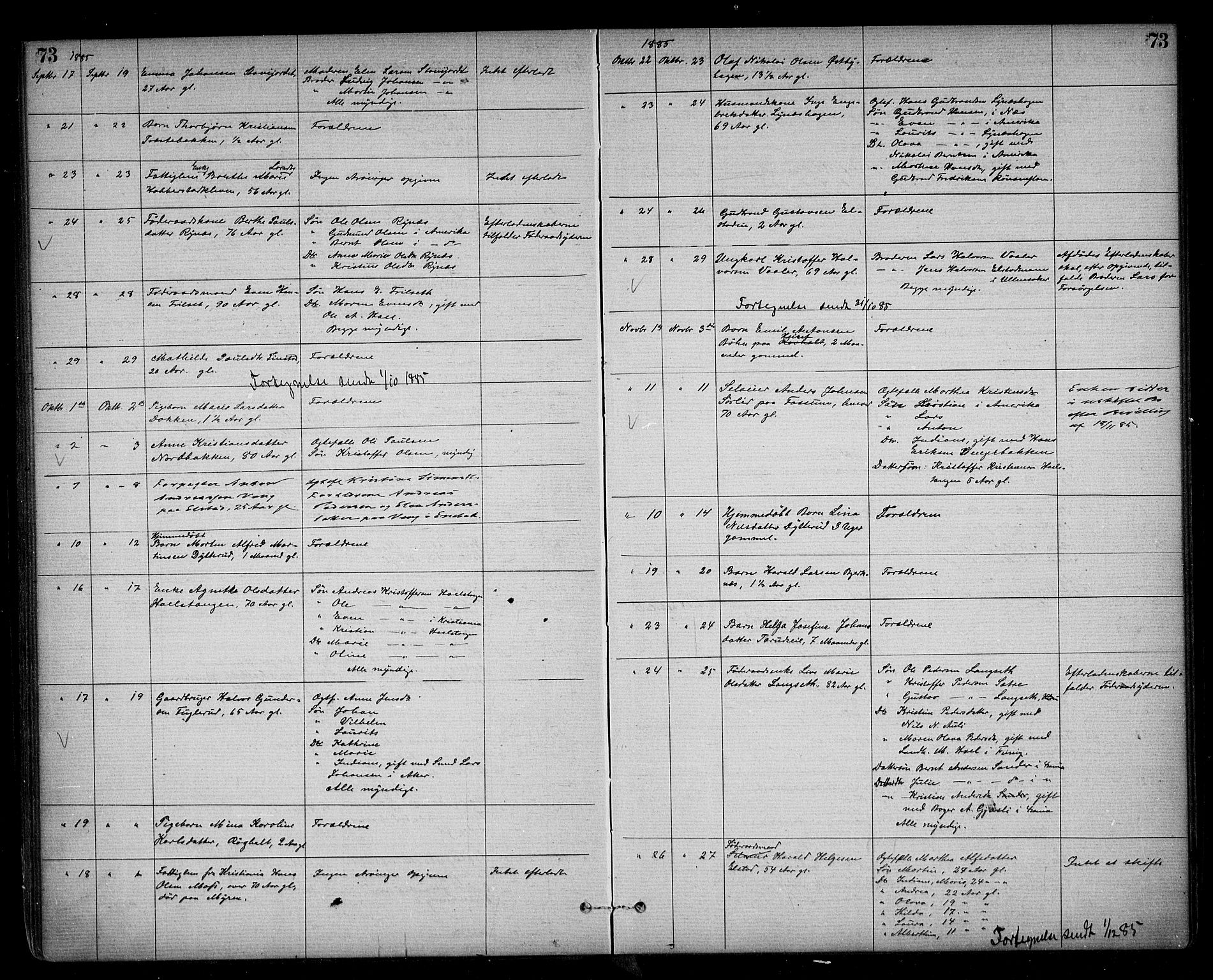 Eidsvoll lensmannskontor, AV/SAO-A-10266a/H/Ha/Haa/L0002: Dødsfallsprotokoll, 1871-1896, s. 73