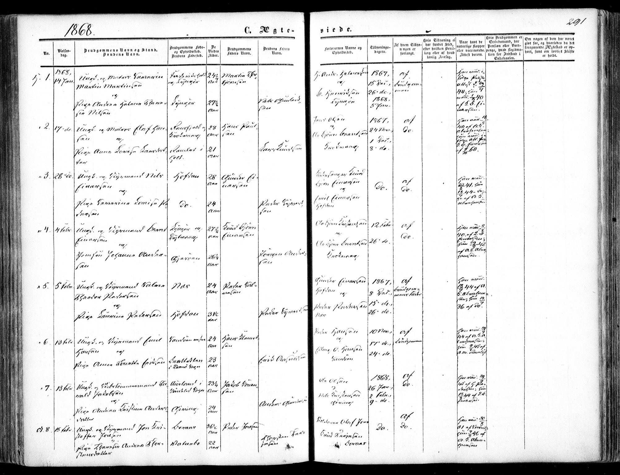 Dypvåg sokneprestkontor, AV/SAK-1111-0007/F/Fa/Faa/L0006: Ministerialbok nr. A 6, 1855-1872, s. 291