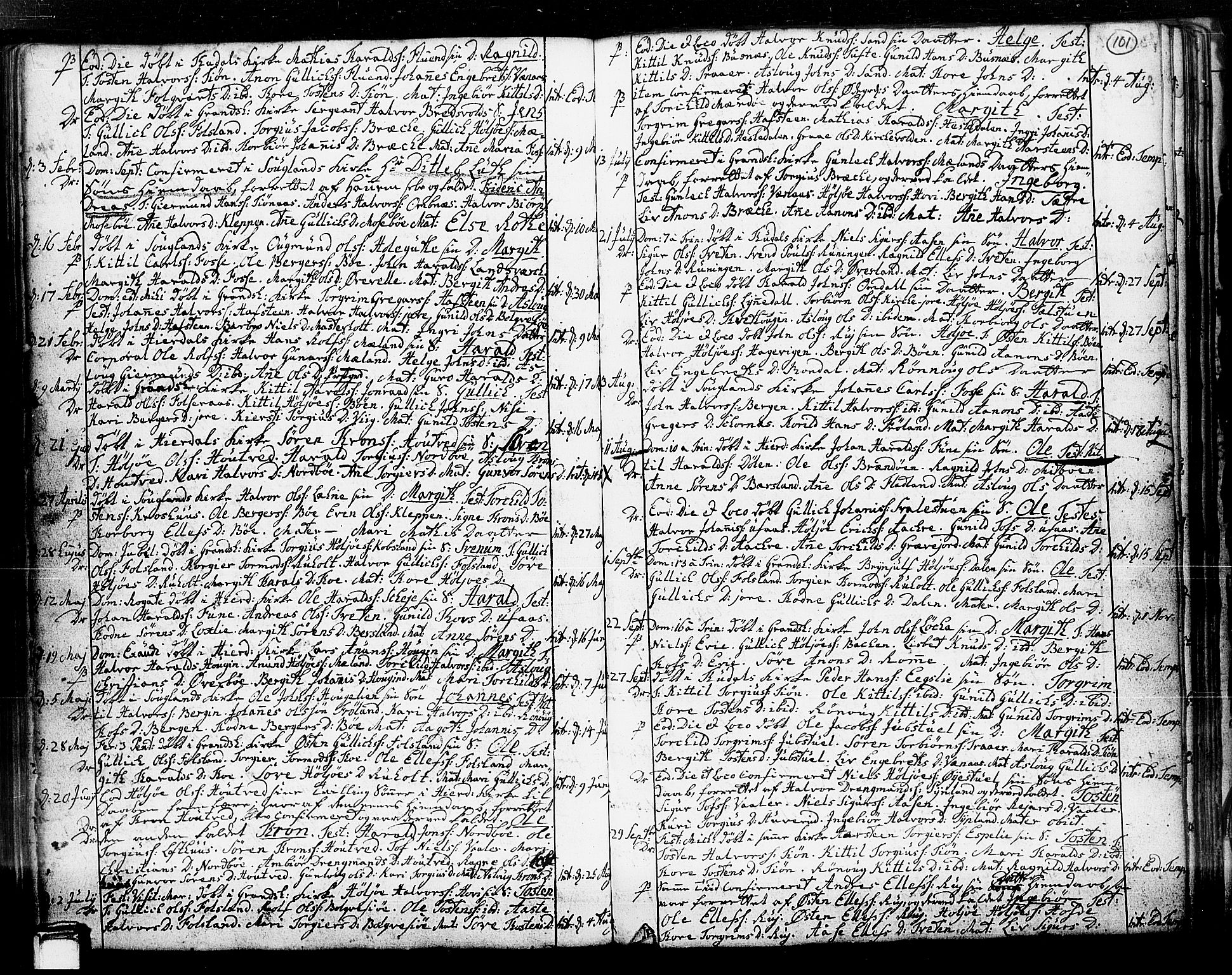 Hjartdal kirkebøker, AV/SAKO-A-270/F/Fa/L0003: Ministerialbok nr. I 3, 1727-1775, s. 101