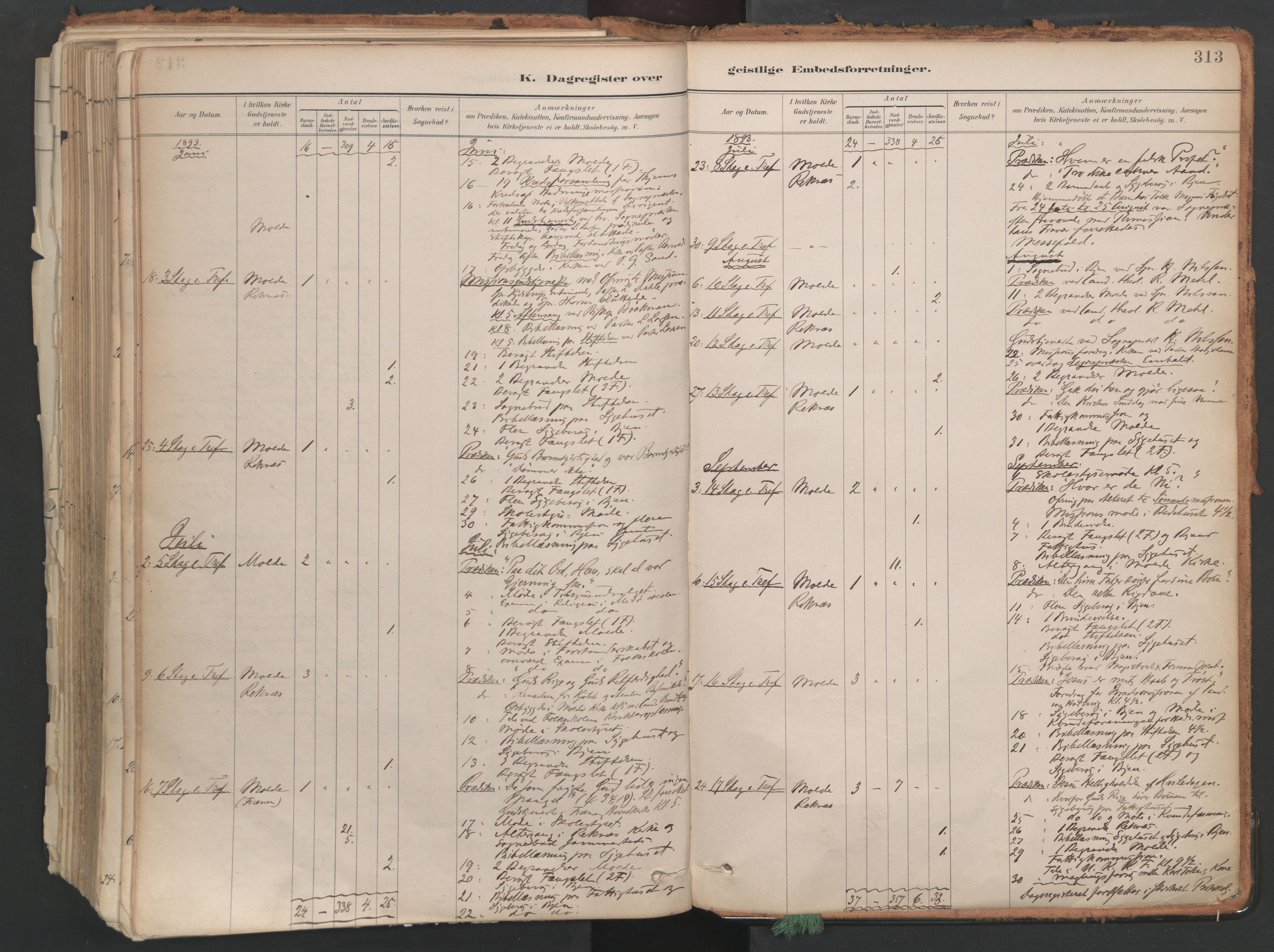 Ministerialprotokoller, klokkerbøker og fødselsregistre - Møre og Romsdal, AV/SAT-A-1454/558/L0692: Ministerialbok nr. 558A06, 1887-1971, s. 313