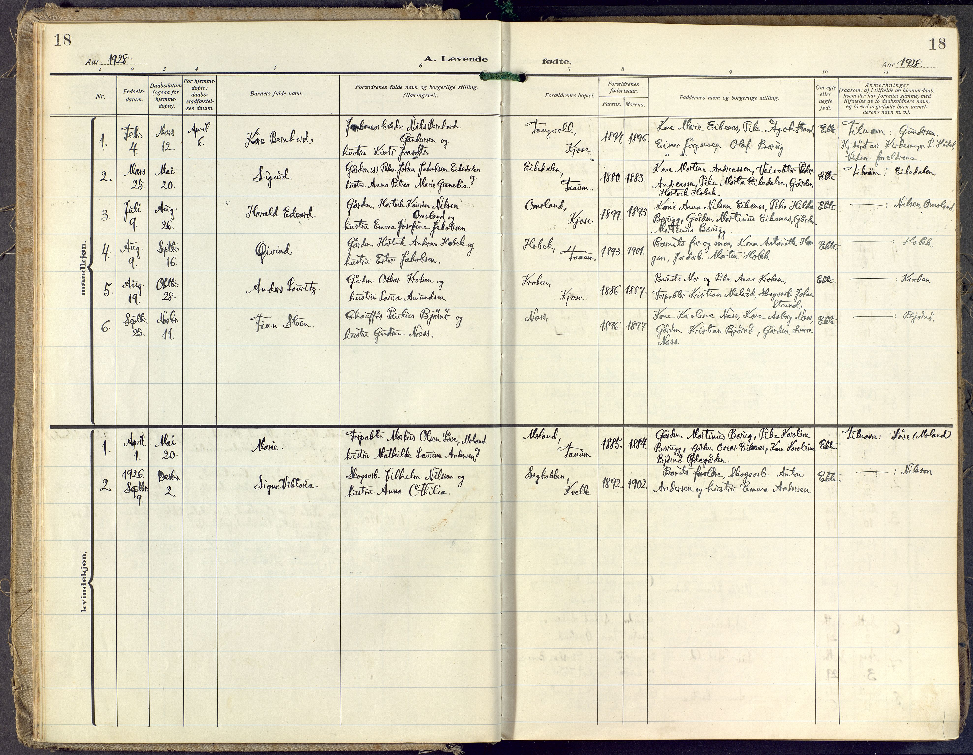 Brunlanes kirkebøker, SAKO/A-342/F/Fd/L0002: Ministerialbok nr. IV 2, 1918-1958, s. 18