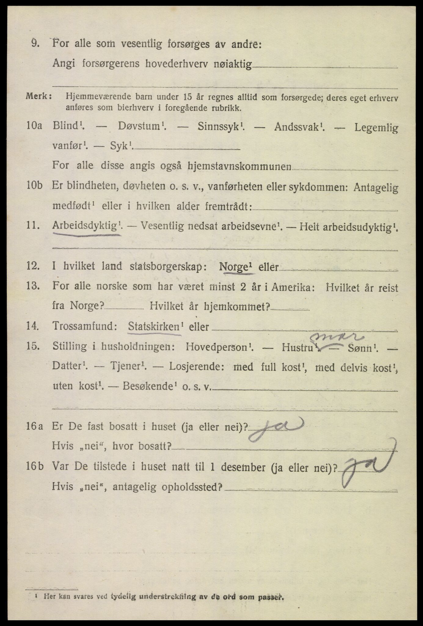 SAK, Folketelling 1920 for 0936 Hornnes herred, 1920, s. 3122